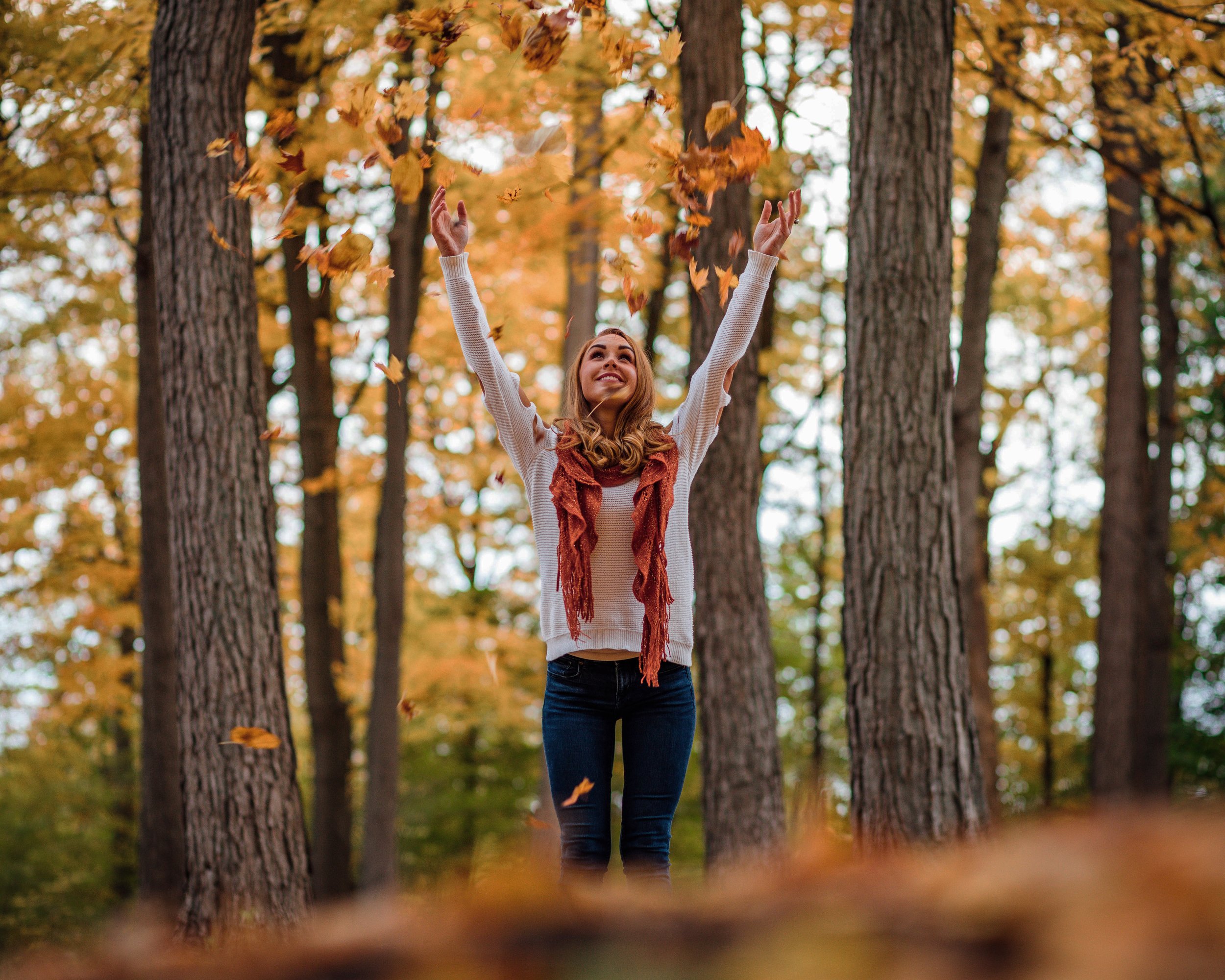 fall.jpg