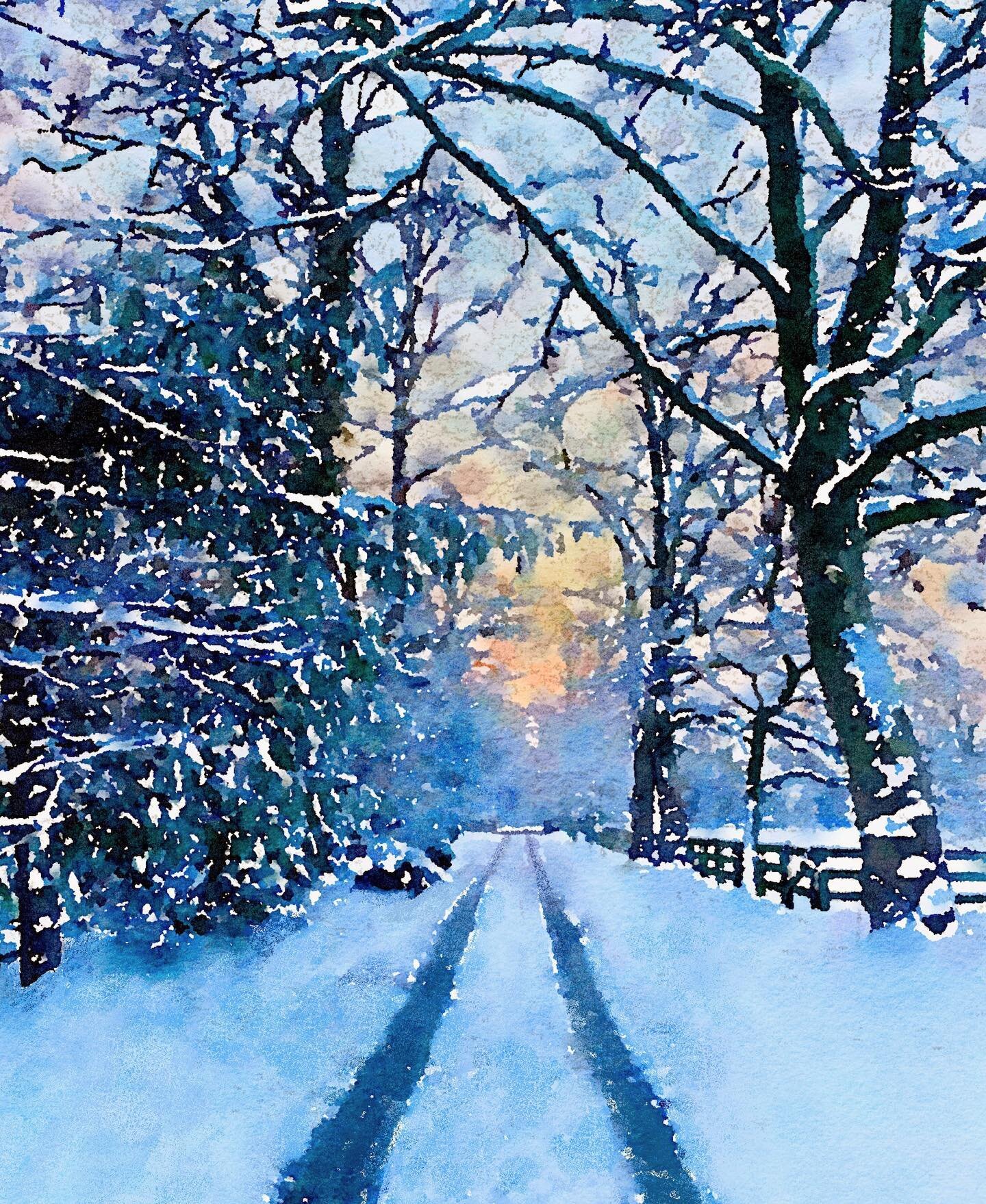 The kids ran out the door before 730am this morning to greet our first snow of the season. 

I excitedly went with them. 

The farm is magical in the snow. I caught the sun peeking through the clouds on the driveway.

I edited my original photo to lo