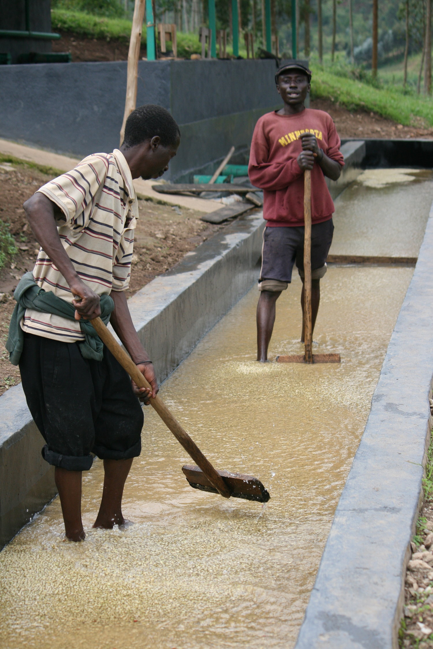 Burundi Gahahe Washing Station.jpeg