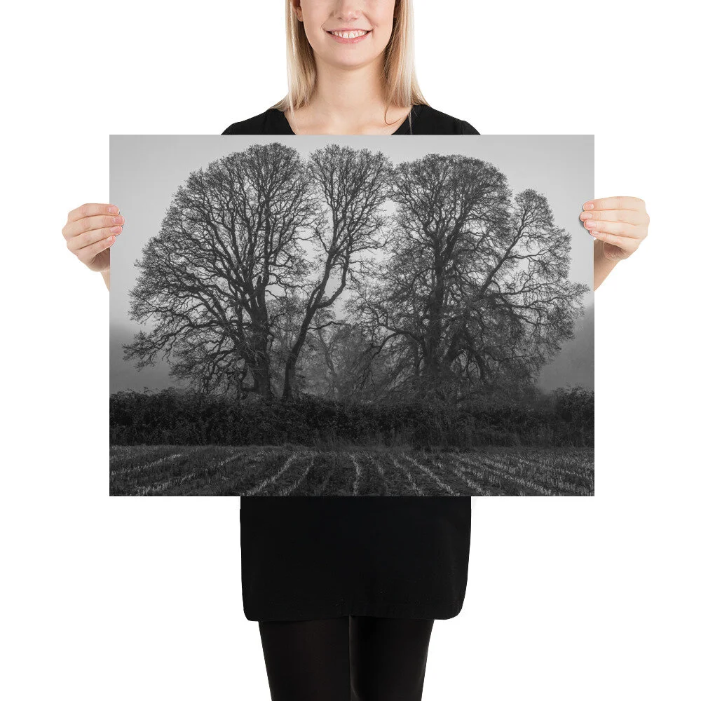 mockup-2a445487.jpg