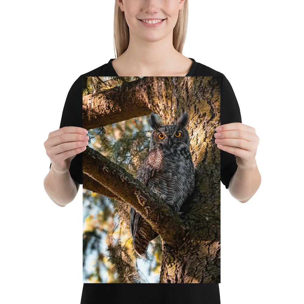 mockup-e20b9849.jpg