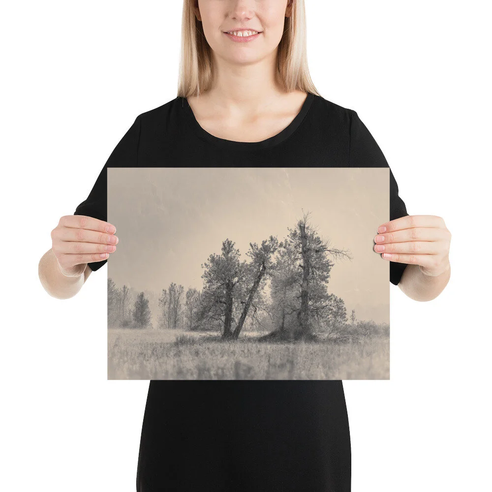 mockup-48e7a408.jpg