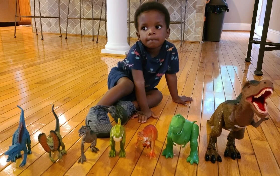 Dinosaurs