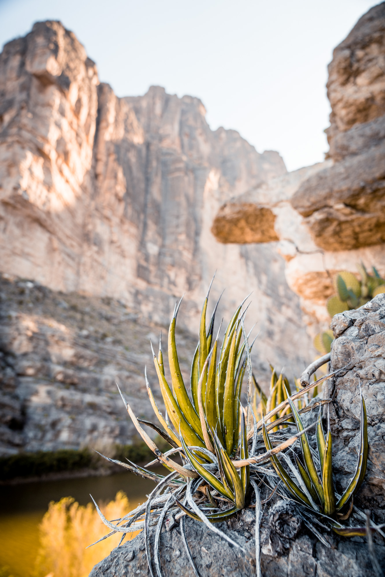 20180221_BigBend_MM__A721116.jpg