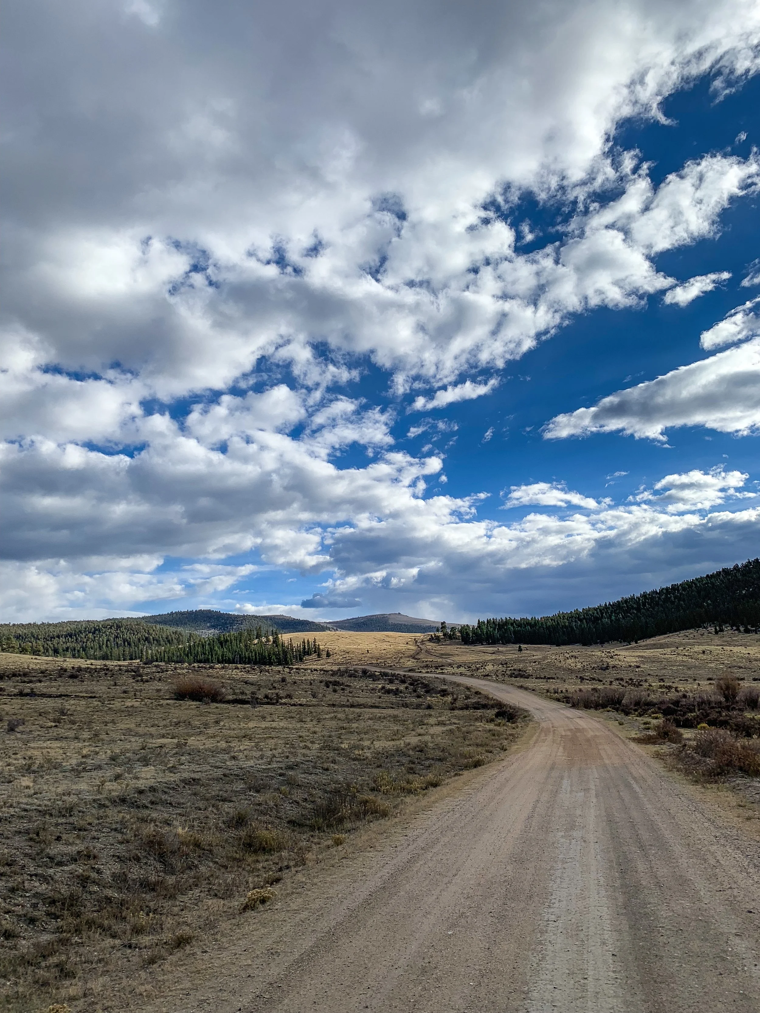 You don't need a reason to drive the backroads, you do it just for fun. The first few miles of thee Four Mile dirt roads were well maintained and drivable in any rig. However, on day 2, as I continued on through the mountains to Salida and through ‘aspen ridge’ the roads were pretty rough and required slow (and fun) travel.