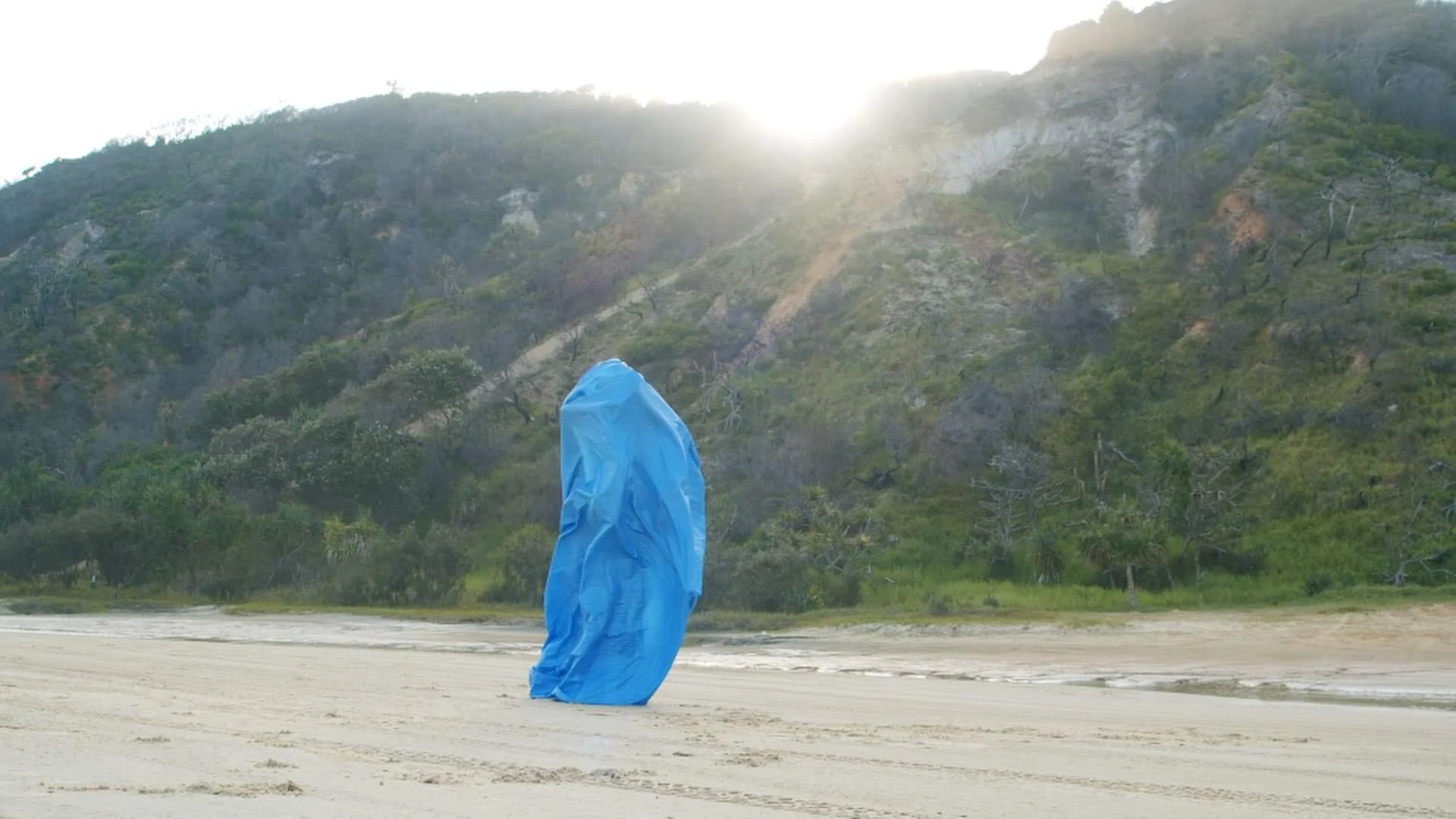 Plastic Belly Scheu Freed image 2.jpeg