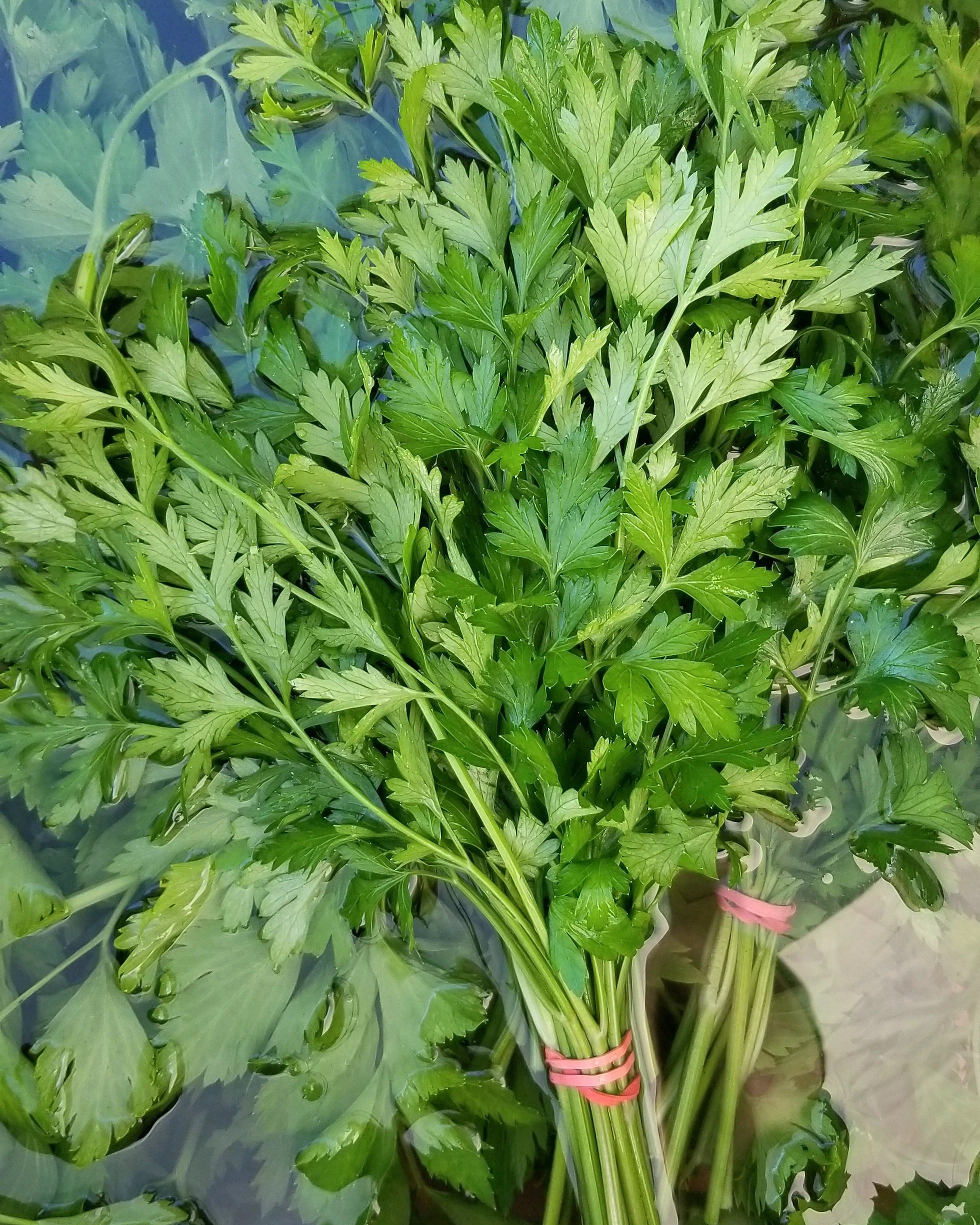 parsley.jpg
