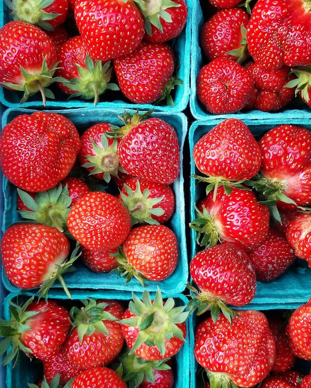 strawberries (2).jpg