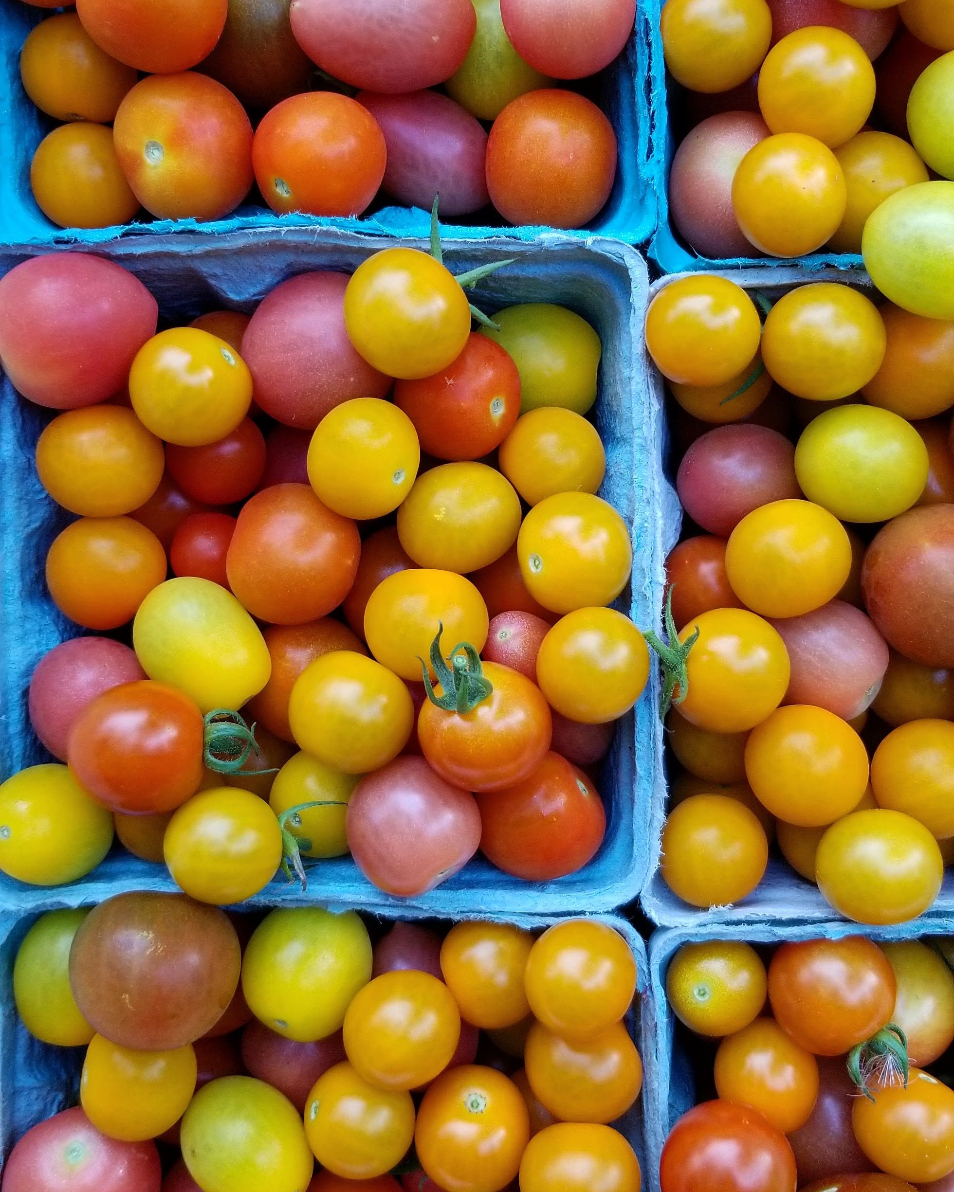 rainbow tomatoes.jpg