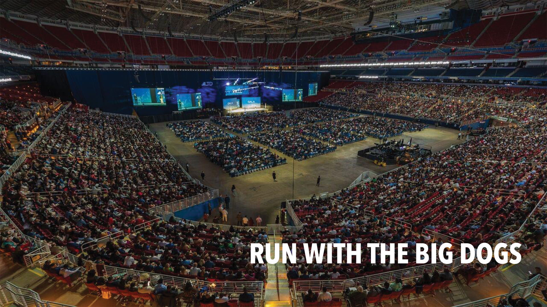 RUNWITHBIGDOGS.png