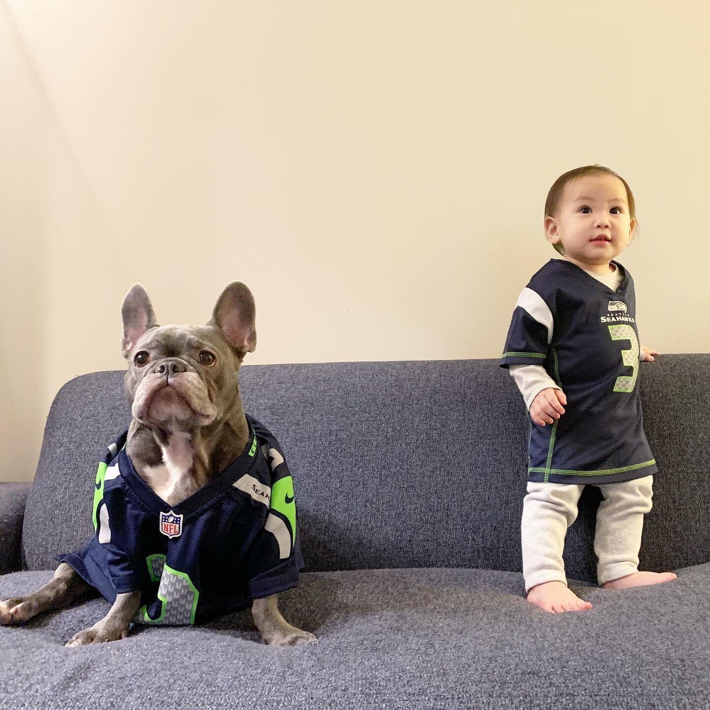 The emotions that every #seahawks fan goes through:
1️⃣ Alright boys, let&rsquo;s do this!
2️⃣ Yes, we got this!
3️⃣ Wait, what was that call?!
4️⃣ Oh, that&rsquo;s not good...
5️⃣ Uh oh, that&rsquo;s really not good...
6️⃣ Aw yea, we&rsquo;re still 