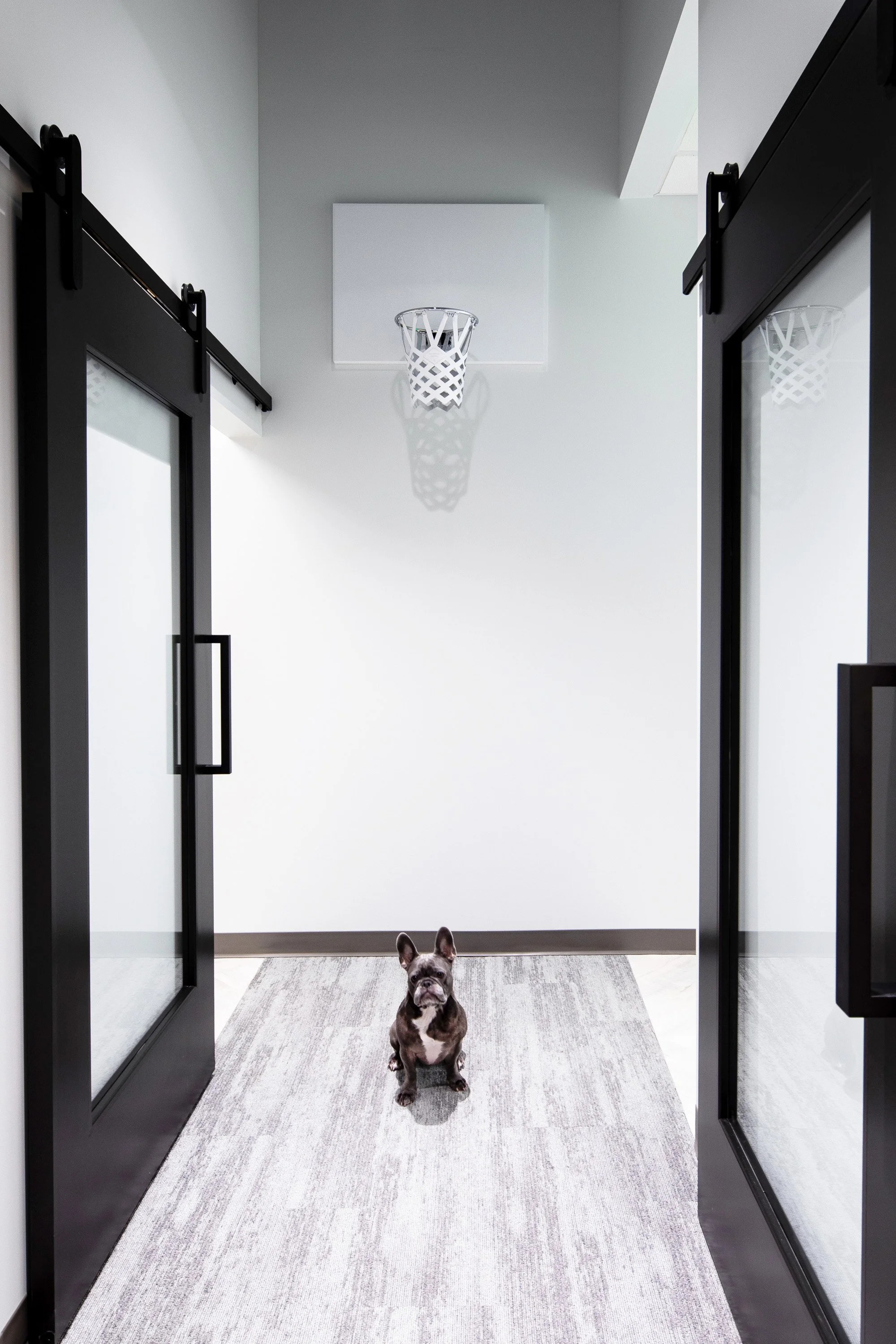 Hallway at The Smile Space featuring modern sliding doors, a mini basketball hoop, and the practice's French bulldog, Muggsy.