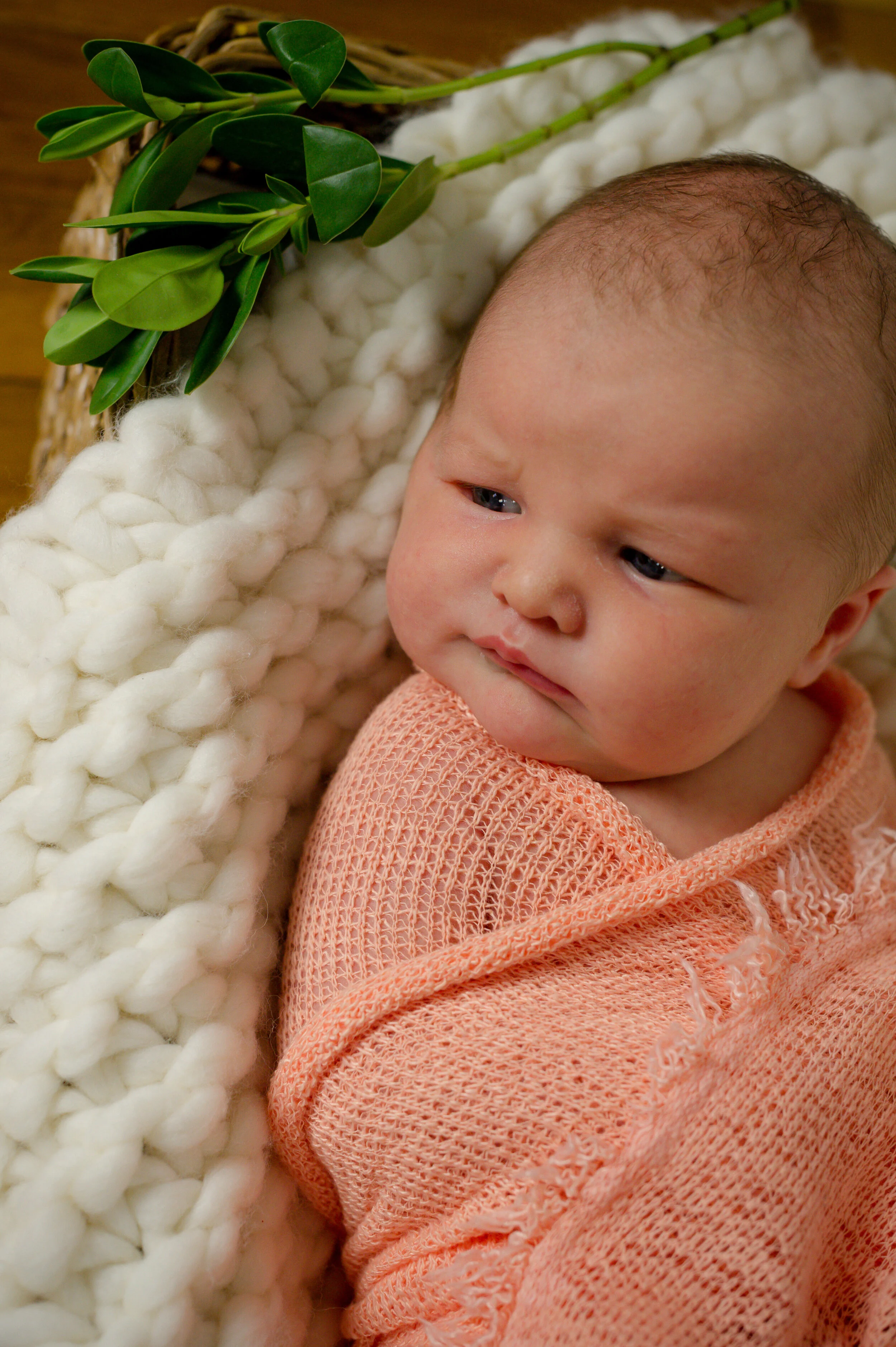 AVA QUICK EDITS-1.jpg