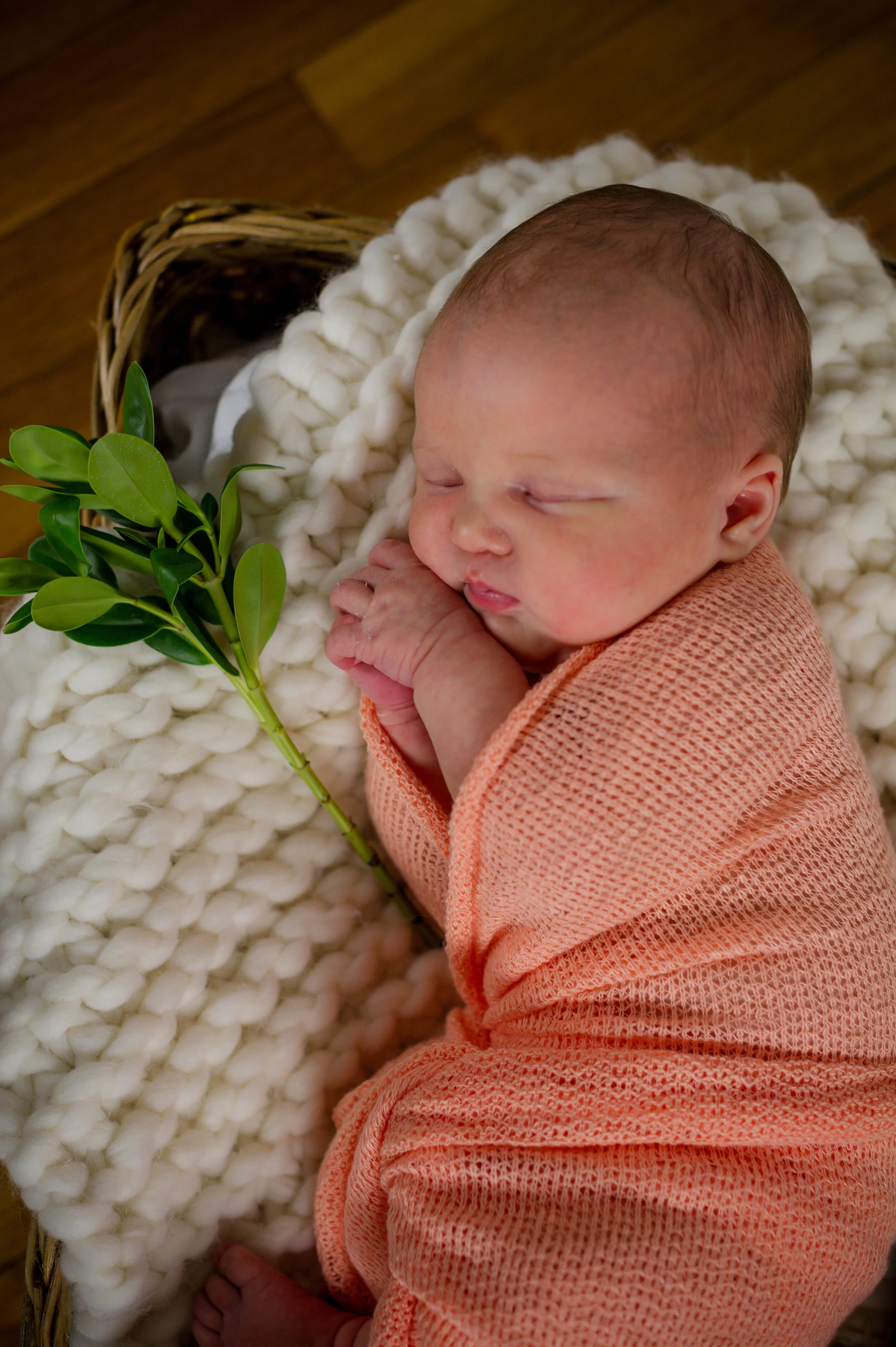 AVA QUICK EDITS-17.jpg
