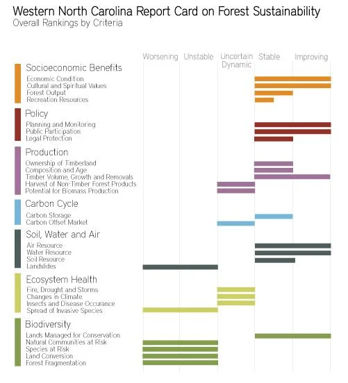 forest service infographic.jpg