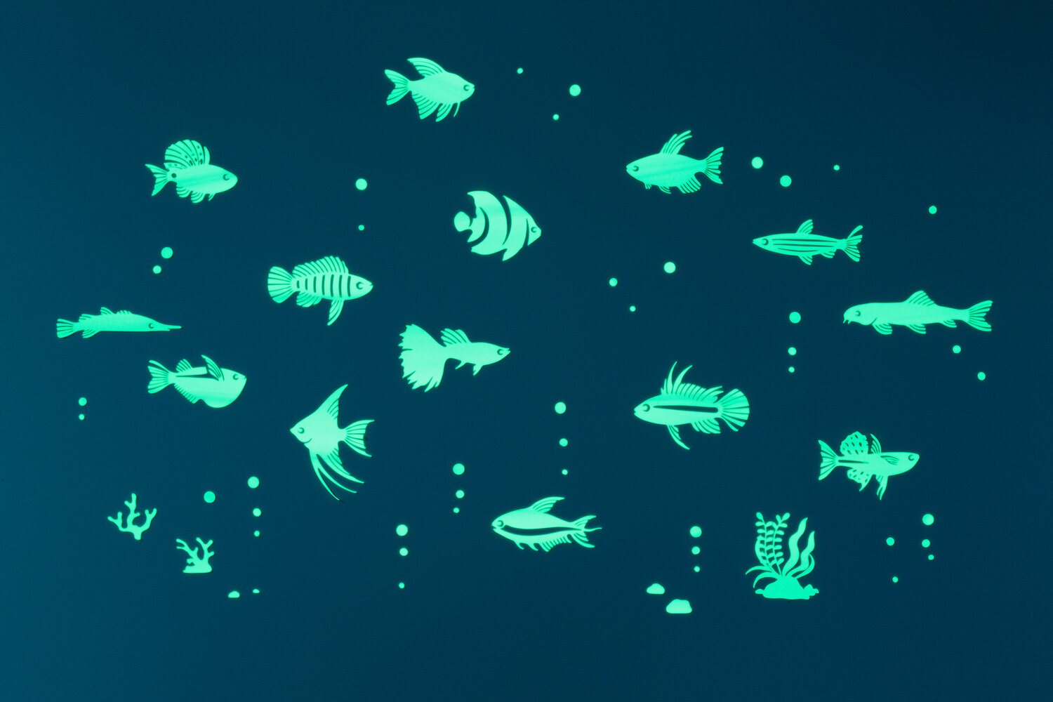 GLOPLAY Sea Animal Series Party 48pcs/Pack Bathtime Glow in The Dark Educational Wall Stickers Decor Bedroom Made in Japan The Eco-Friendly and Brightest Wall Stickers for Ceiling 