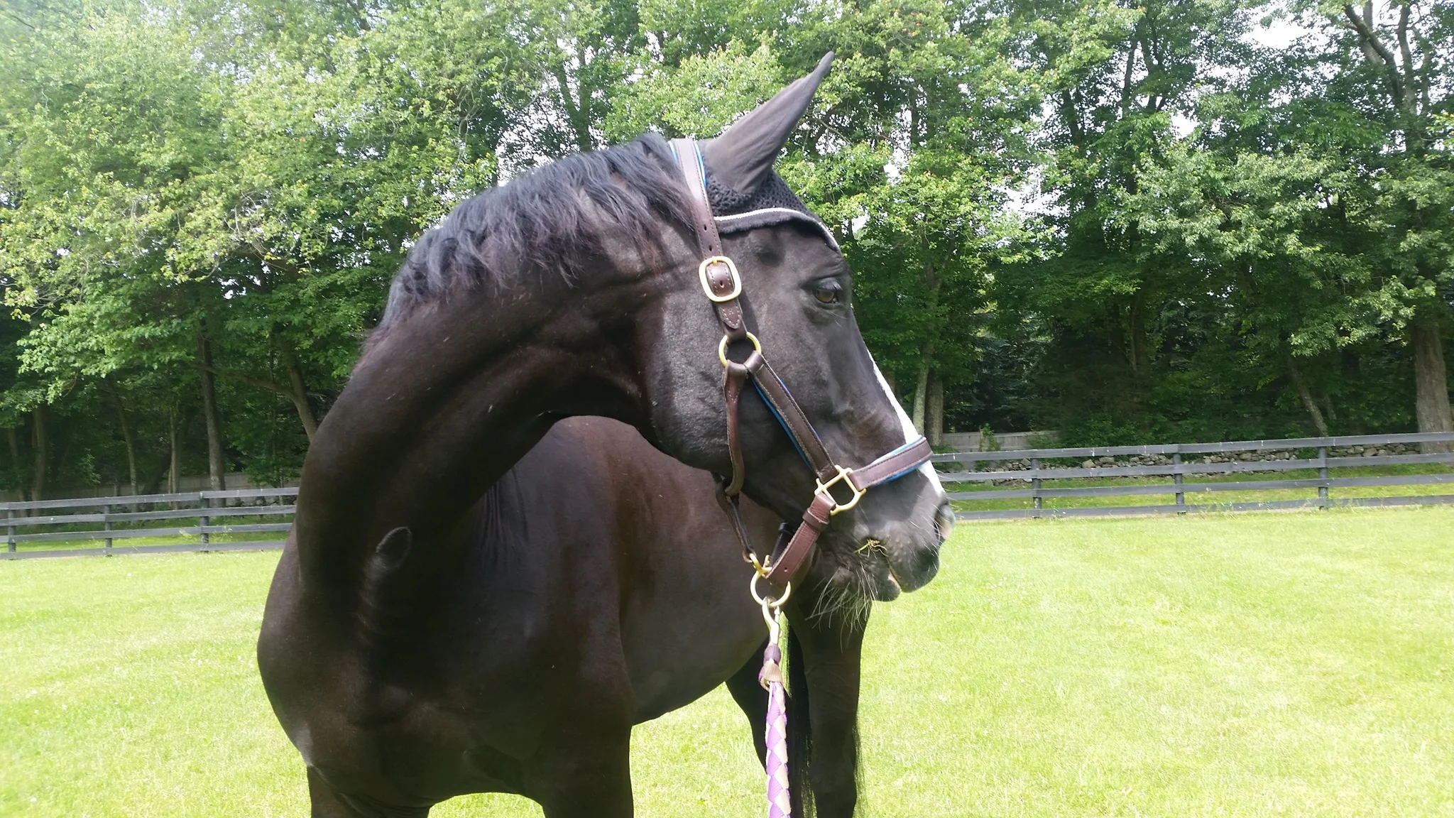 Pepper and Nancy.jpg