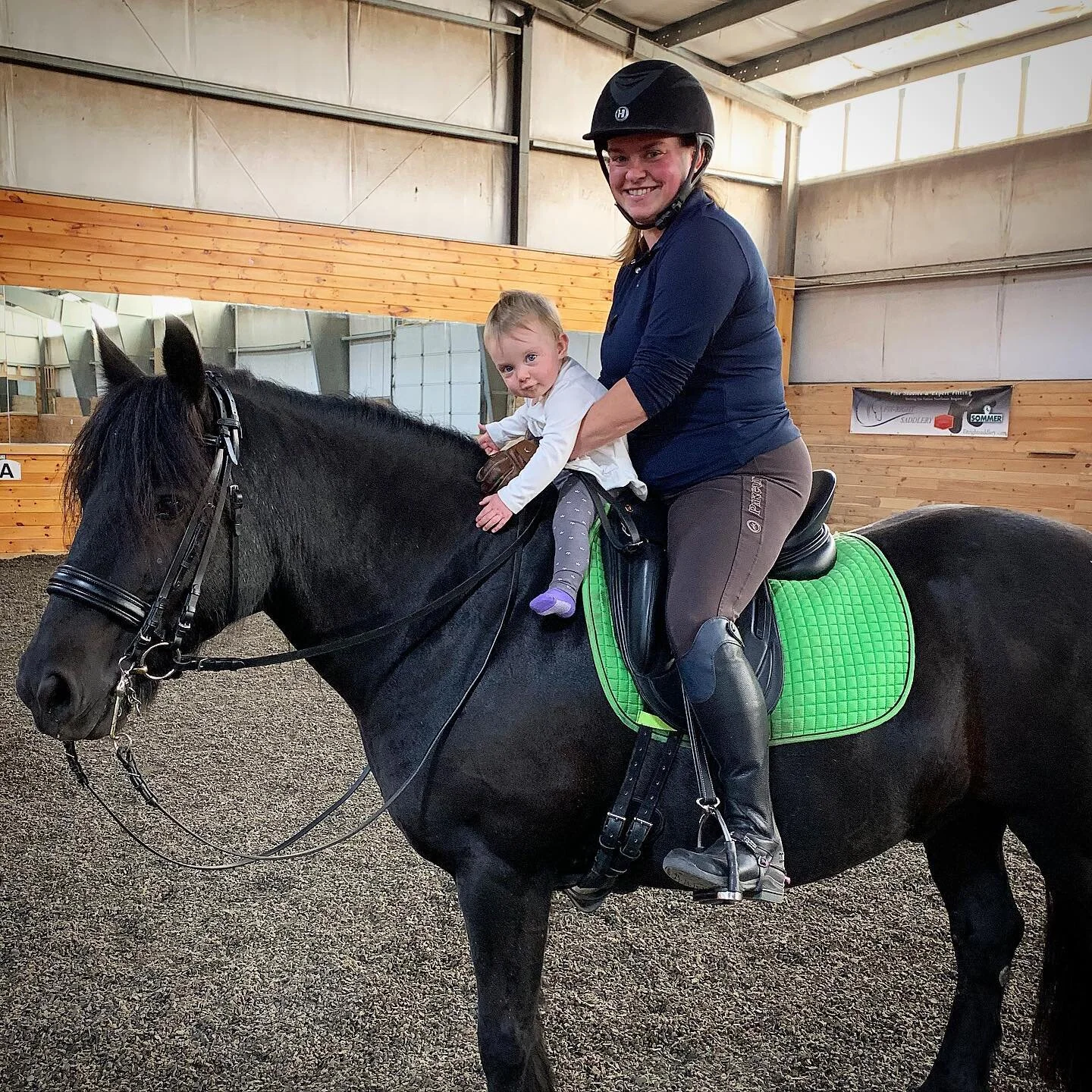 indiana on Riley.jpg