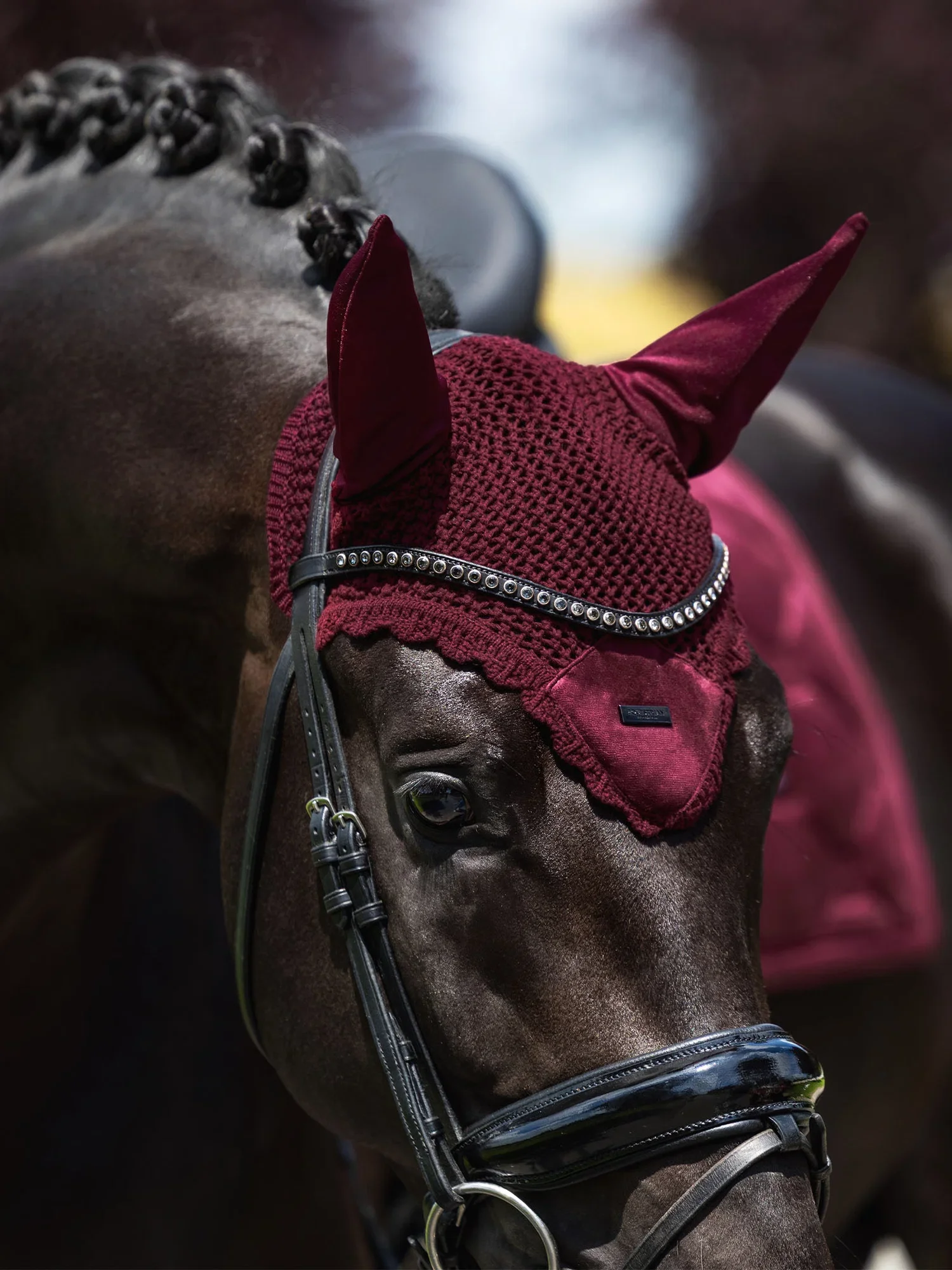Velvet_Merlot_Ear_Bonnet_623A3313_2_e_1536x2048_a5de14de-176f-4e9f-9918-fc29f73c11f2.jpg.webp