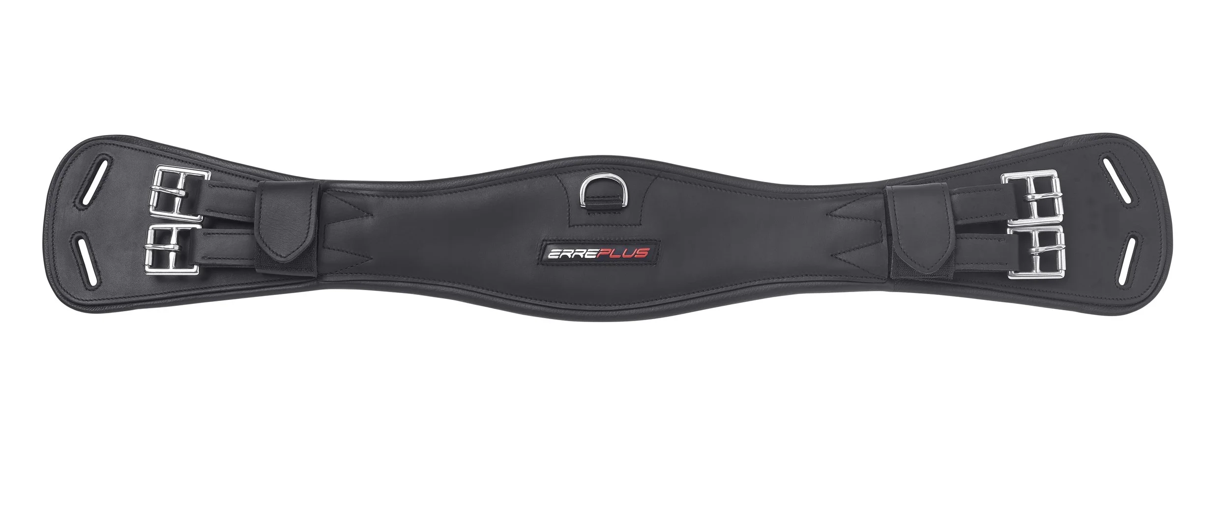 Classic dressage.jpg