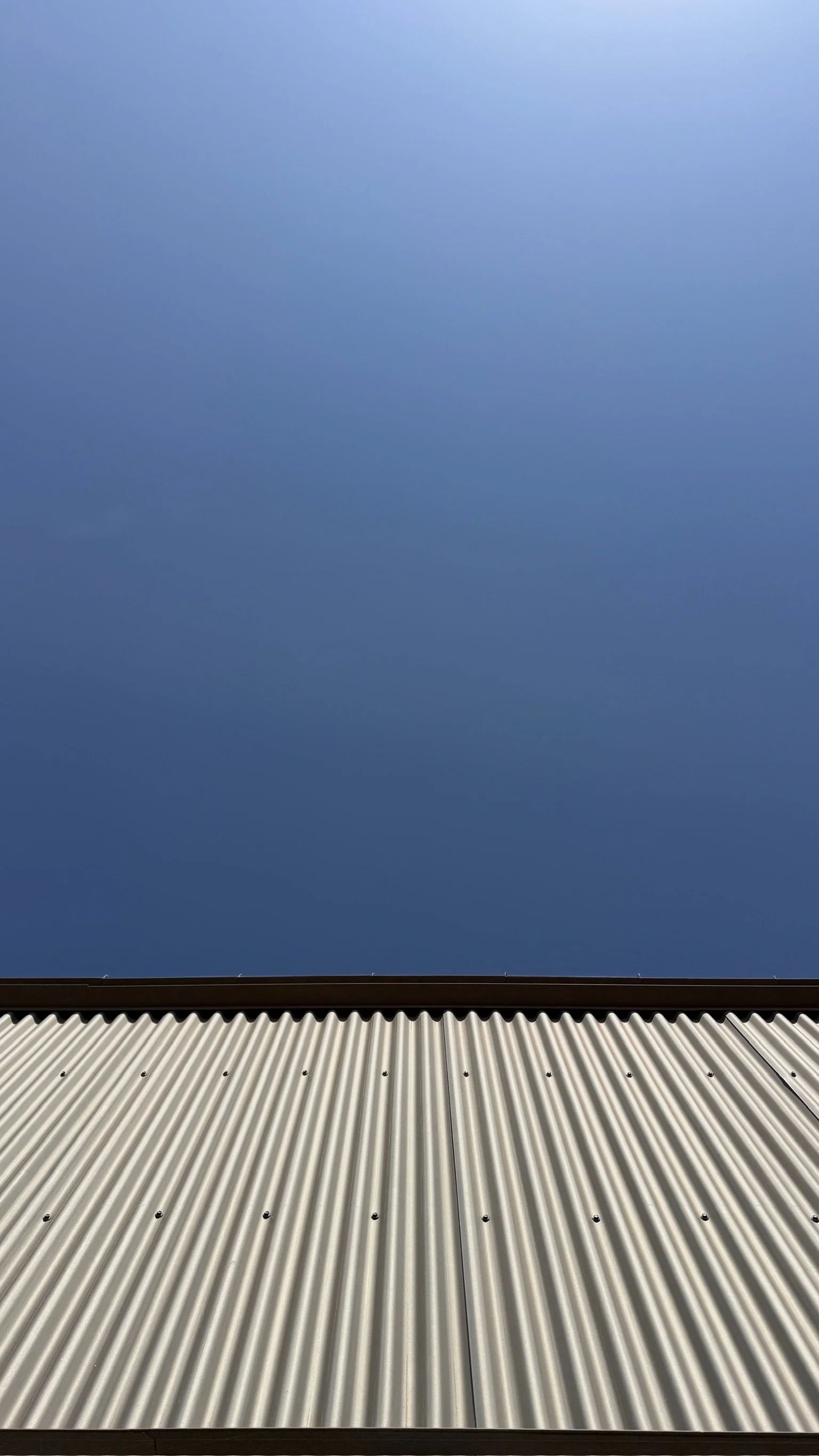 IMG_2667.JPEG