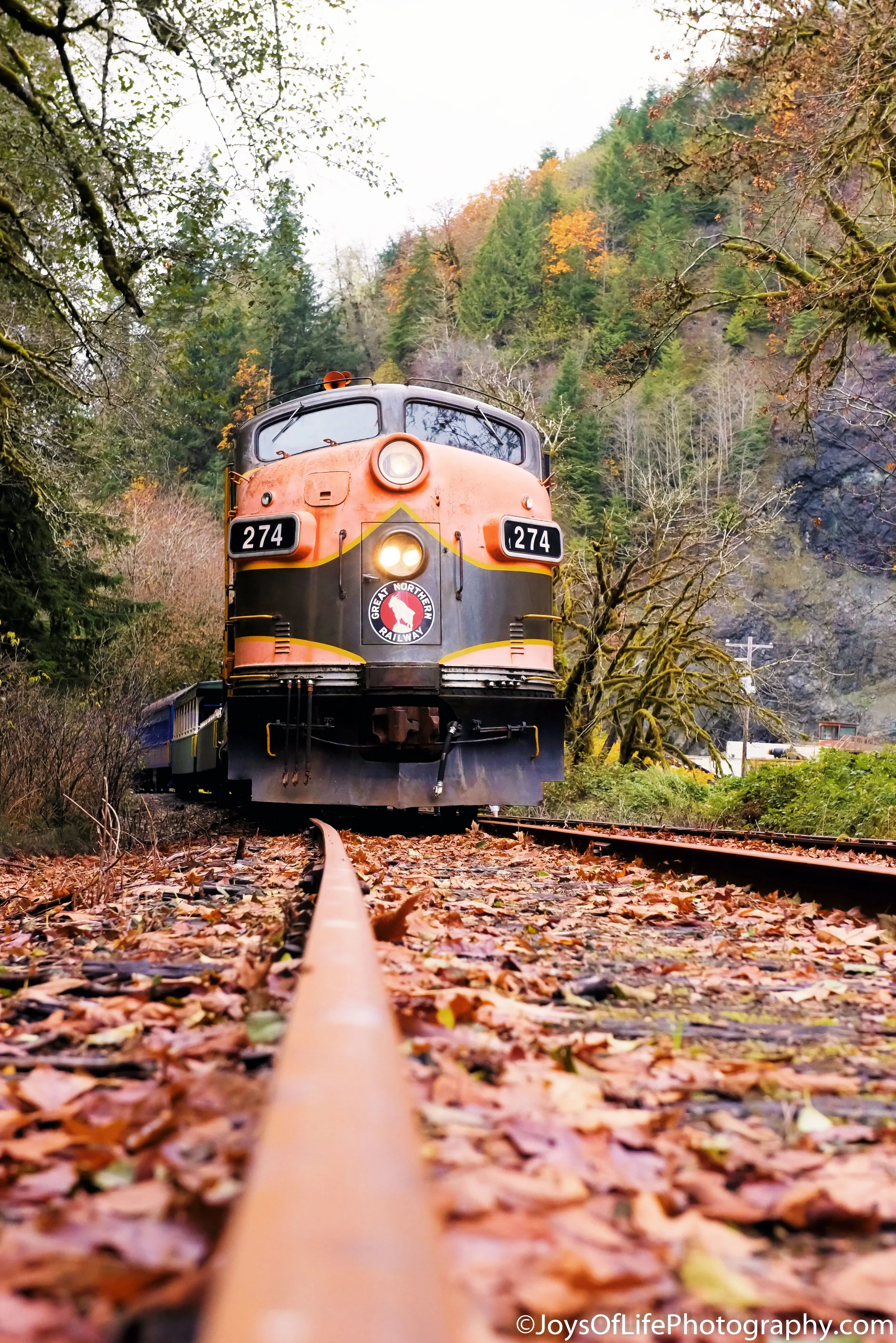 181103_fall_0206-Edit.jpg