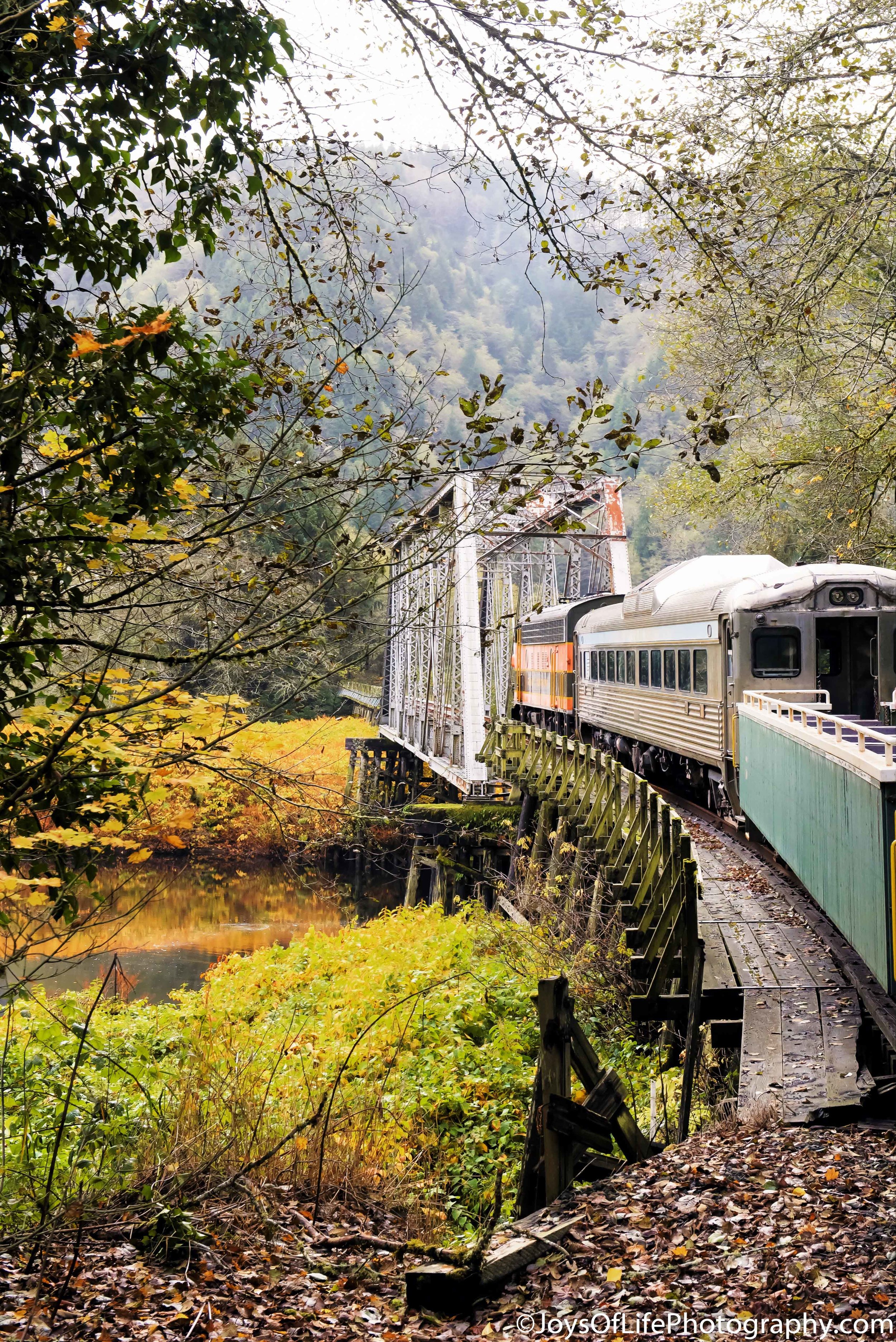 181103_fall_0113-Edit.jpg