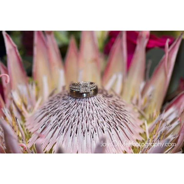 #weddingphotography#portlandweddingphotographer#theknot#wedding#bestweddingphotographer #bridebook #bride #groom#instacool #instawed#married #photographer #photography #weddingphotographer#bestweddingvendors #myweddinggroup#portlandwedding #portlando