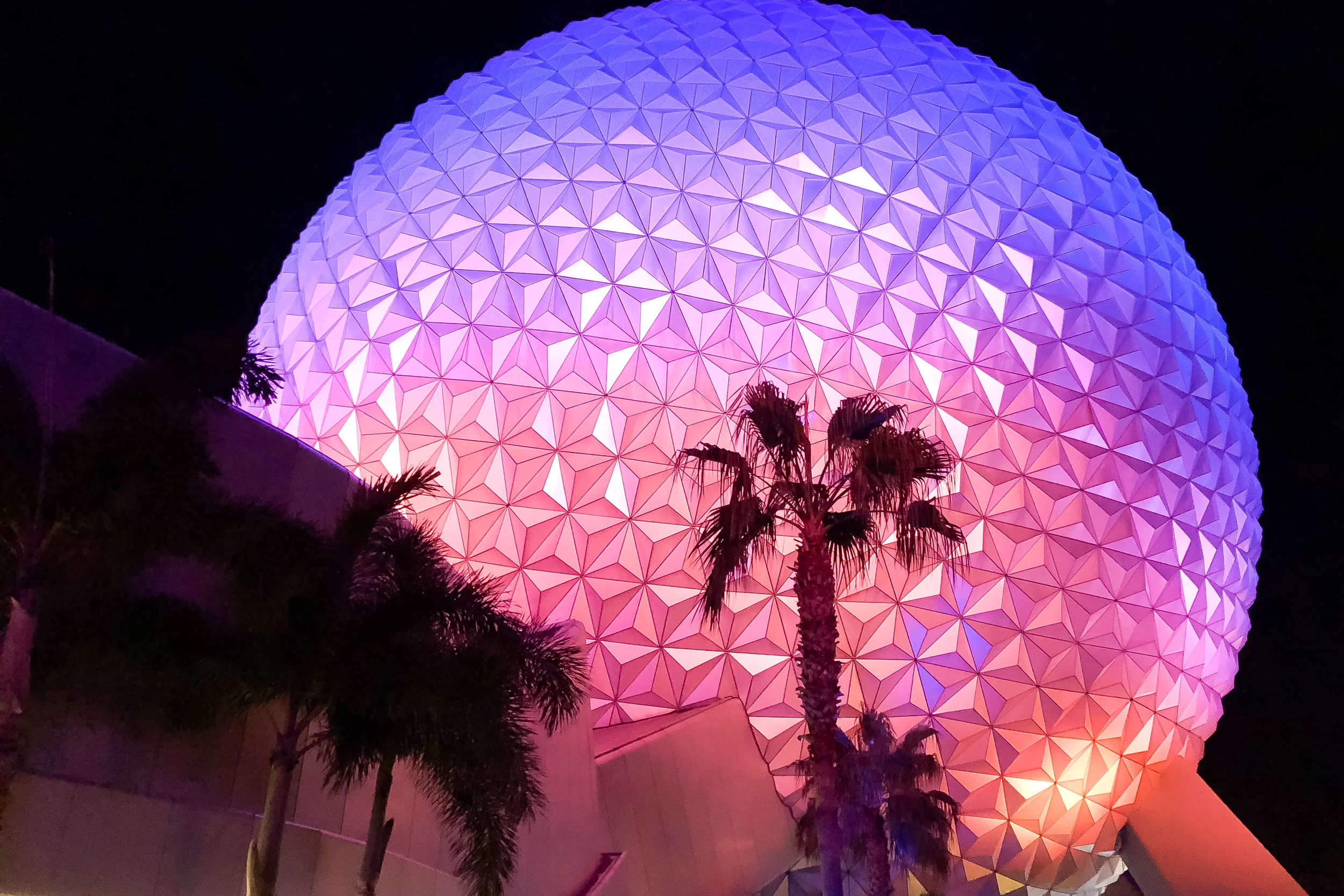 180118_florida_0163.JPG