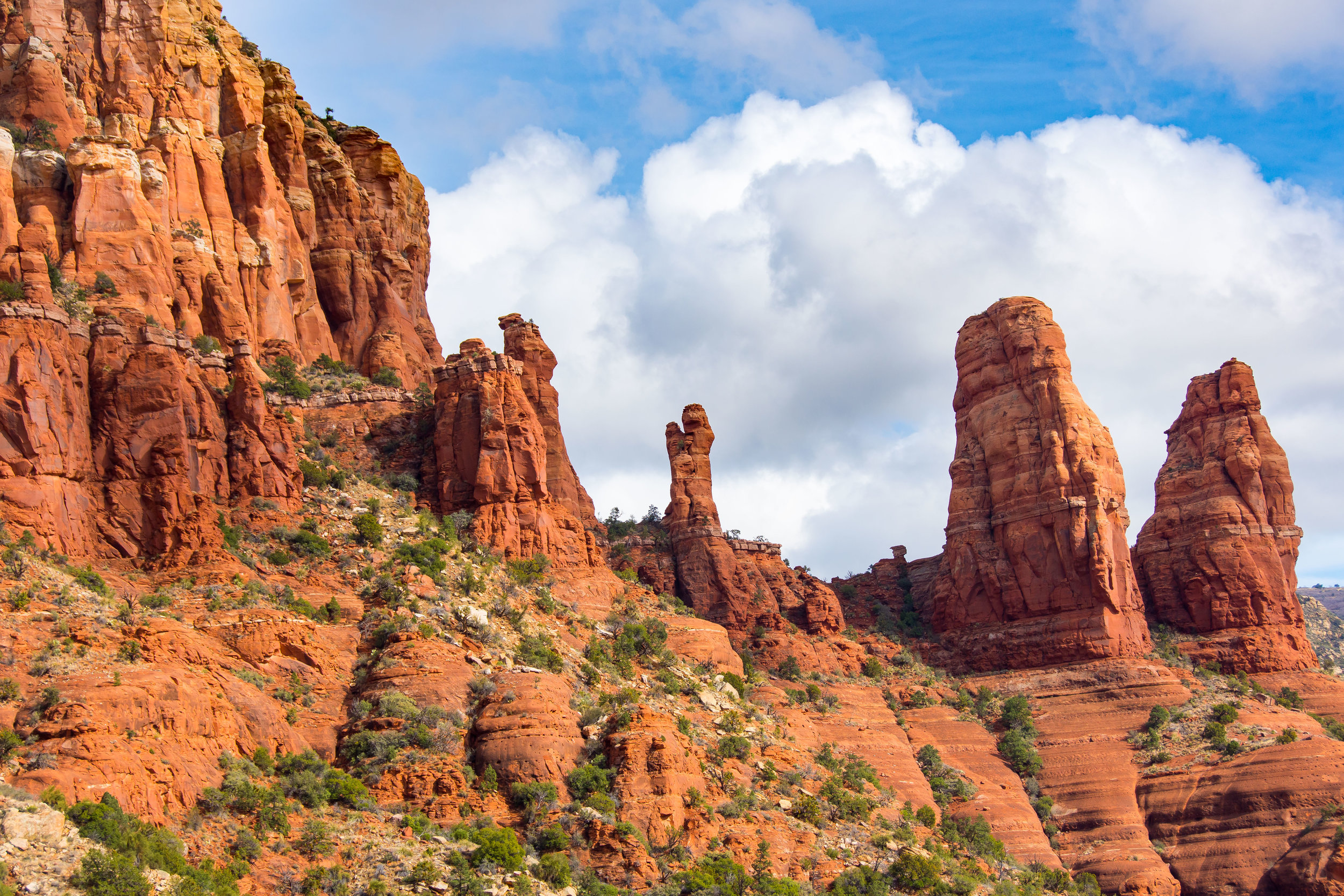 180215_arizona_0253.JPG