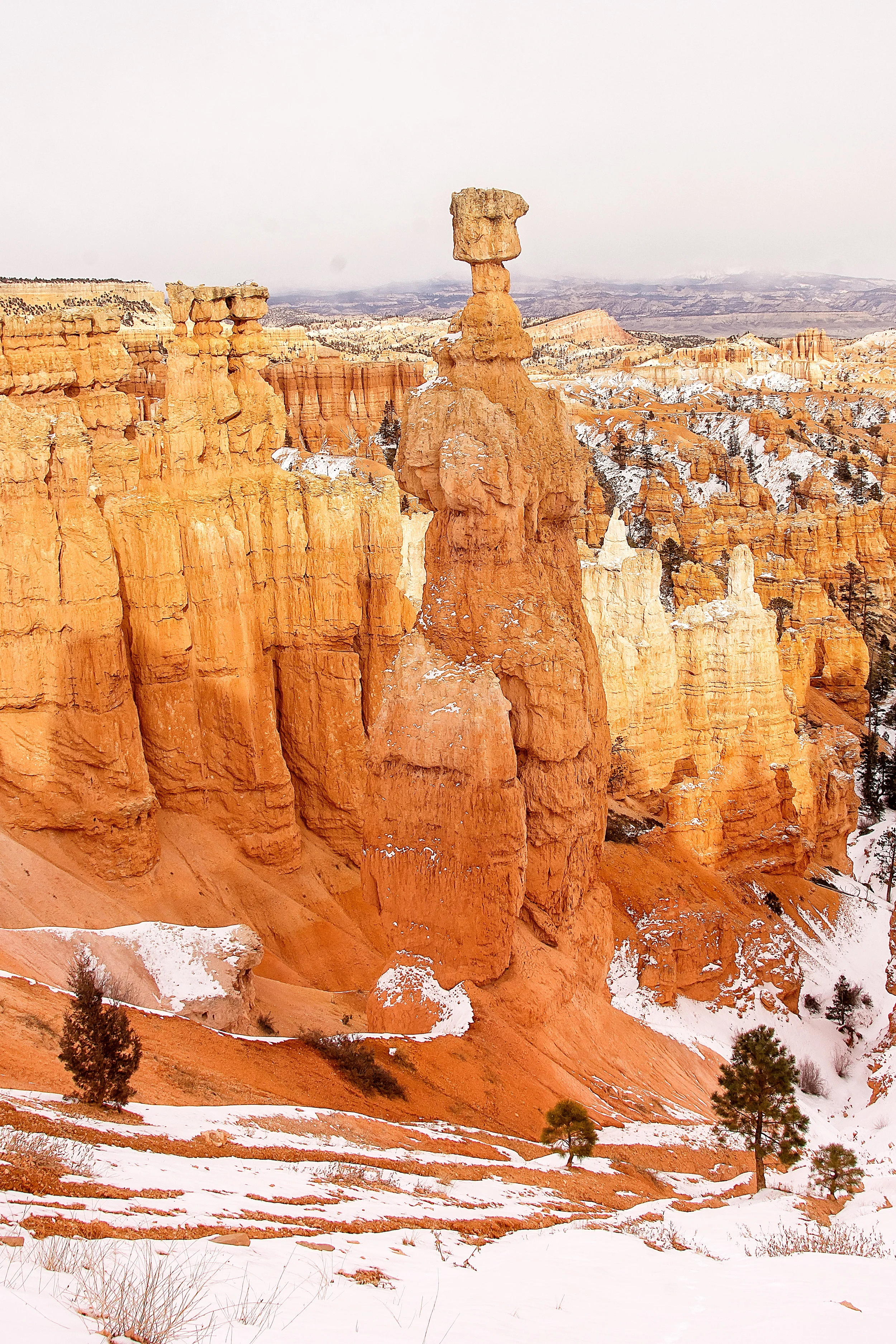 180221_bryce_0203-2-Edit-2.jpg