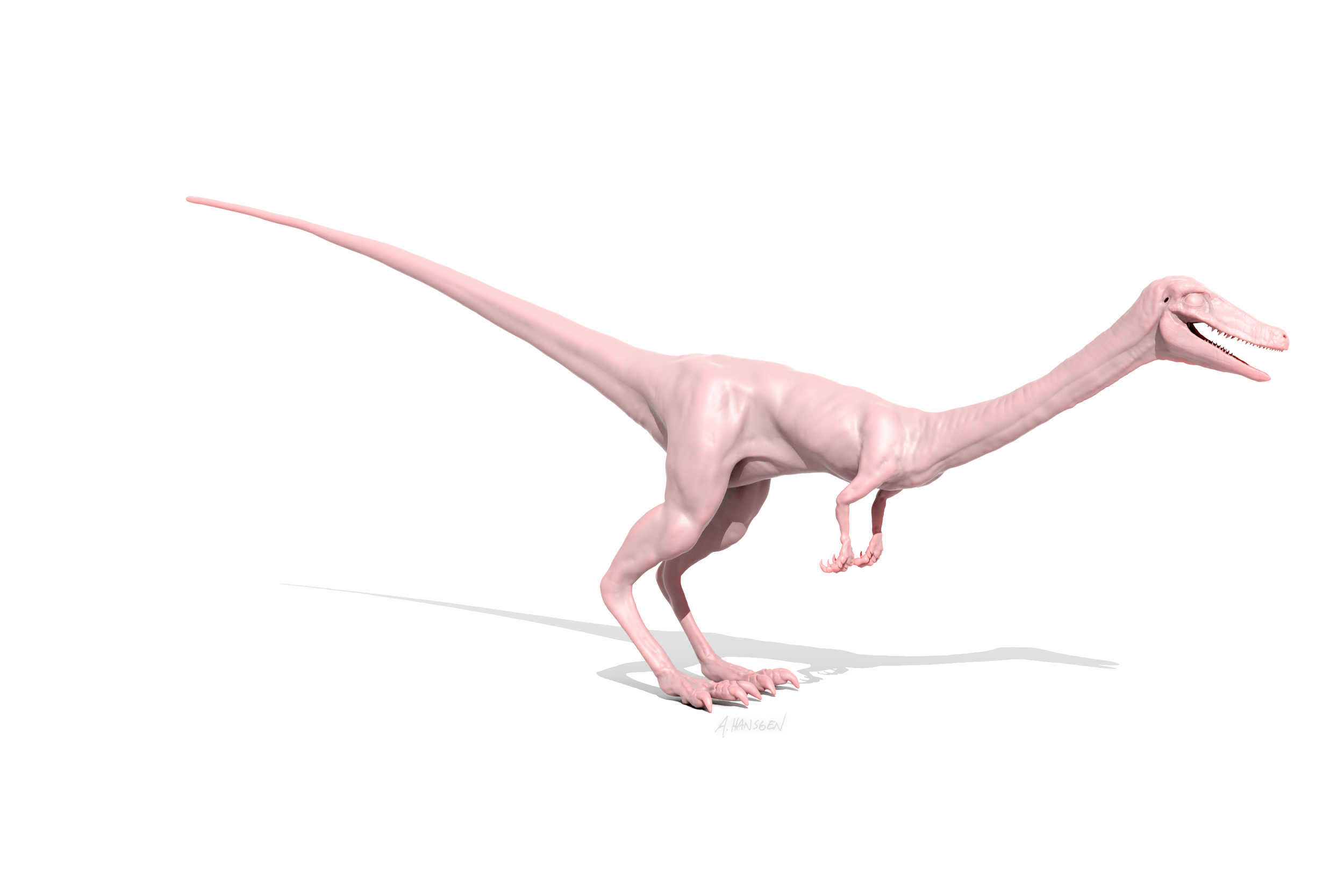 ARHansgen_105.png
