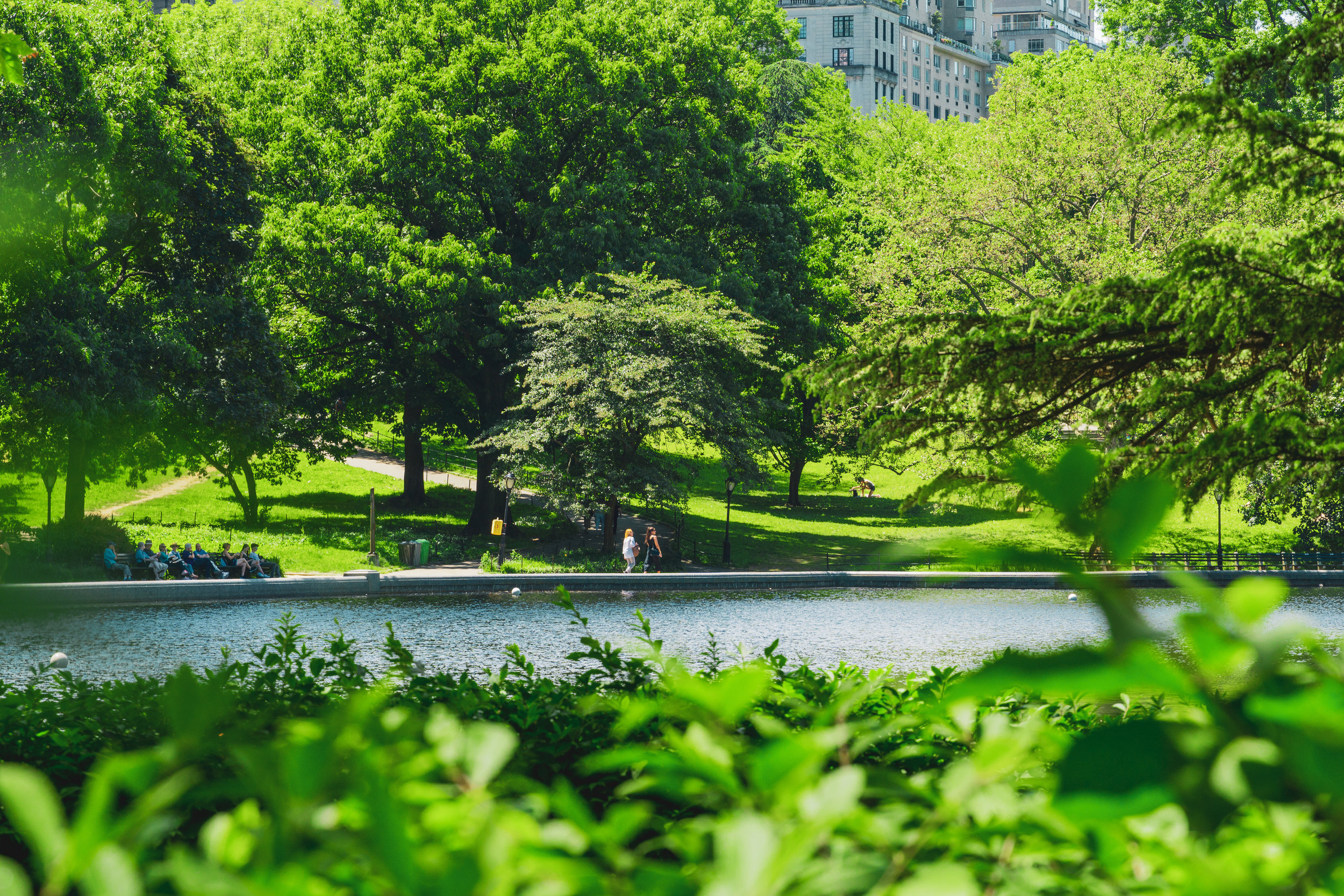 Psychotherapy, Life Coaching, Medical Yoga, &amp; Personalized Health Retreats