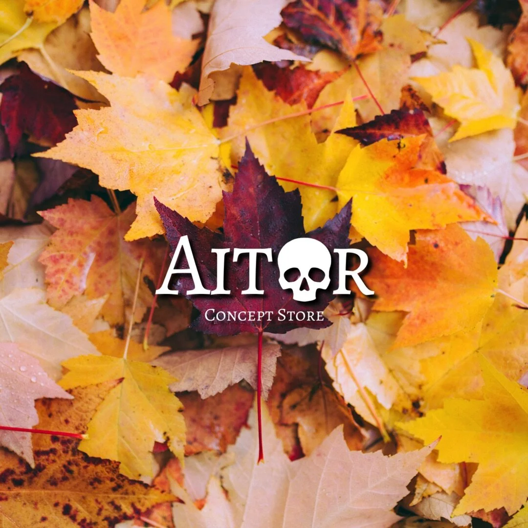 Otoño Aitor Concept Store.jpg