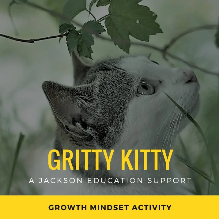 Gritty Kitty - Bundle (Comprehension & Word Problems Bundle with Answers)