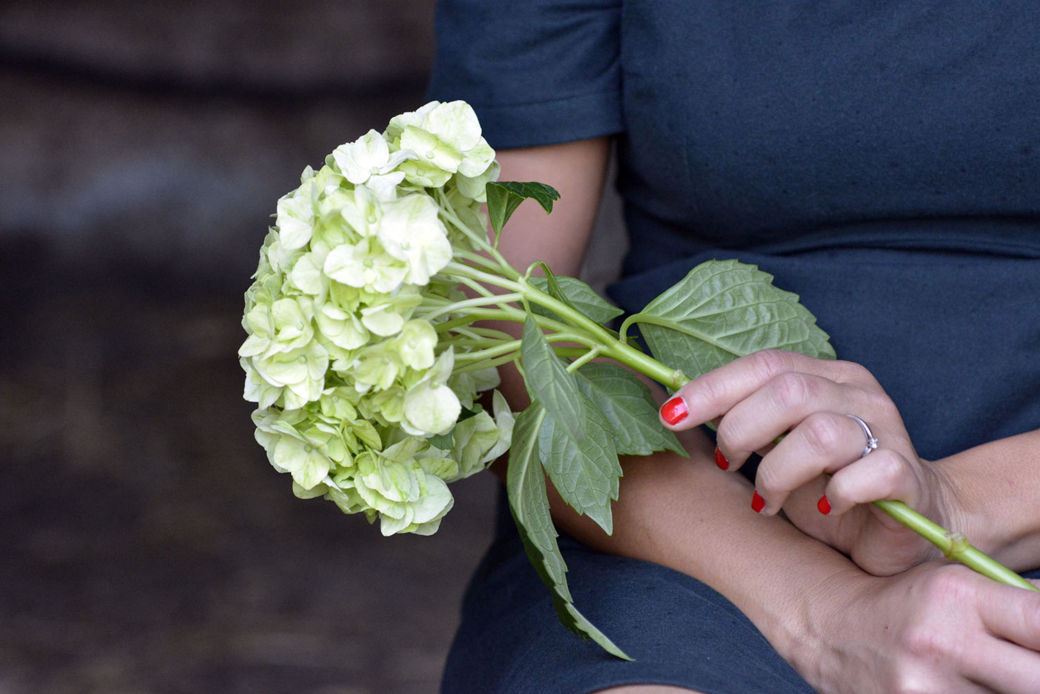 crédit photo: bonjour les fleurs