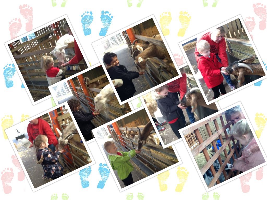 Then they fed the goats. It tickled their hands and they giggled lots.