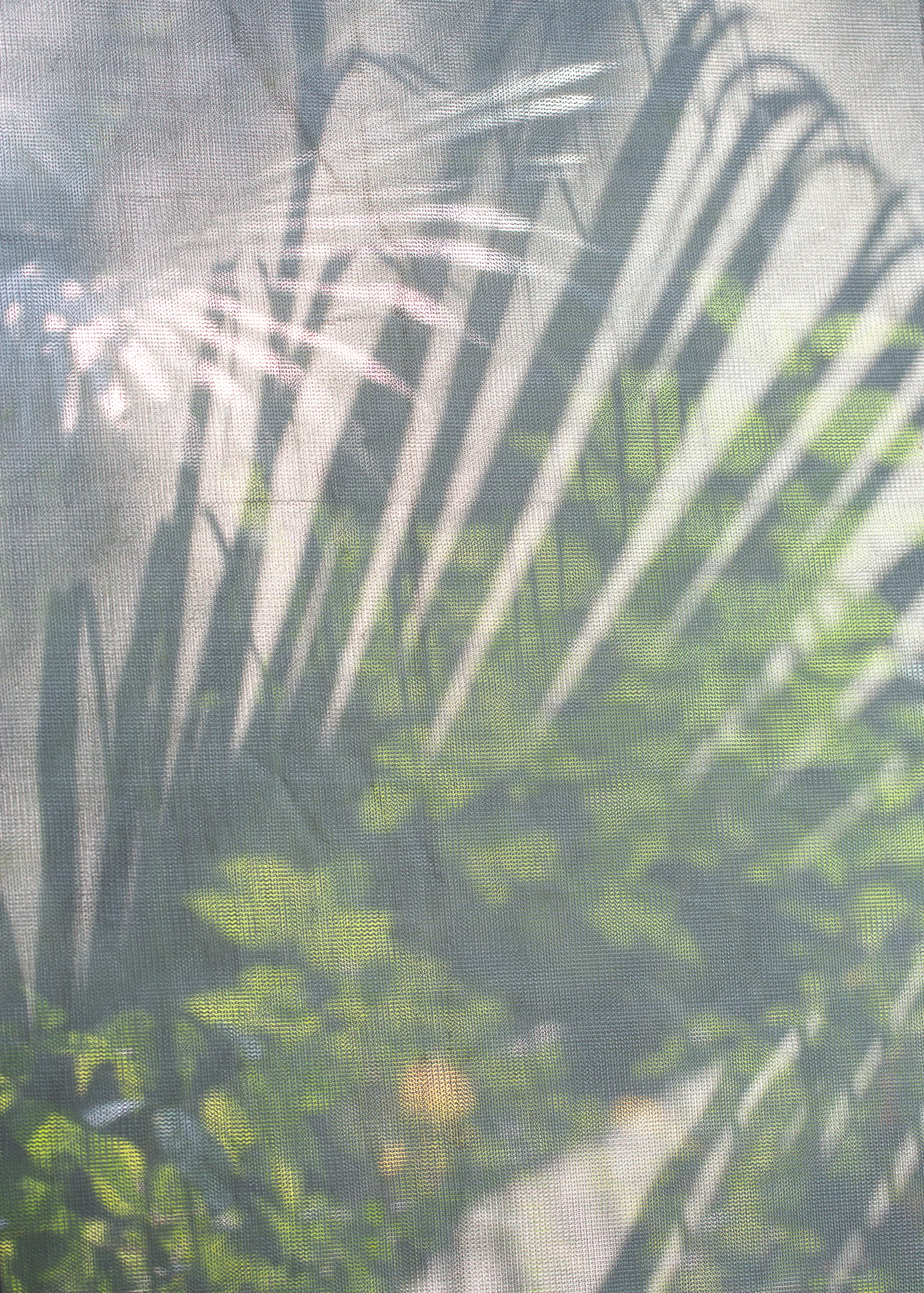森大 The Forest Big-18.jpg