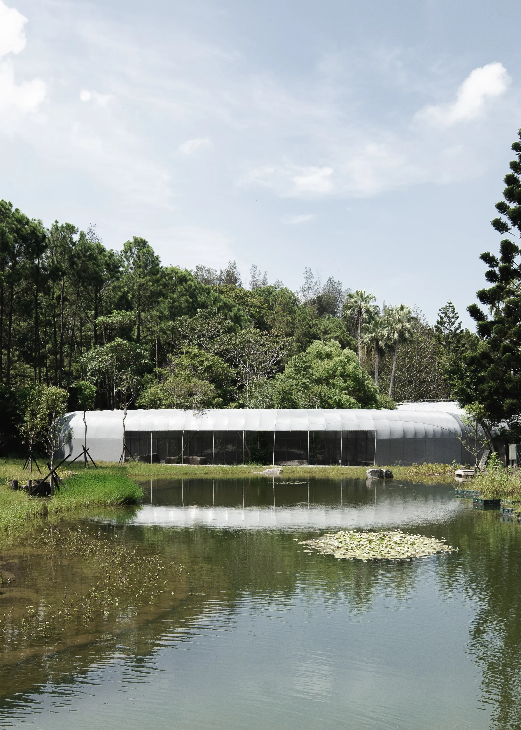 森大 The Forest Big-19.jpg