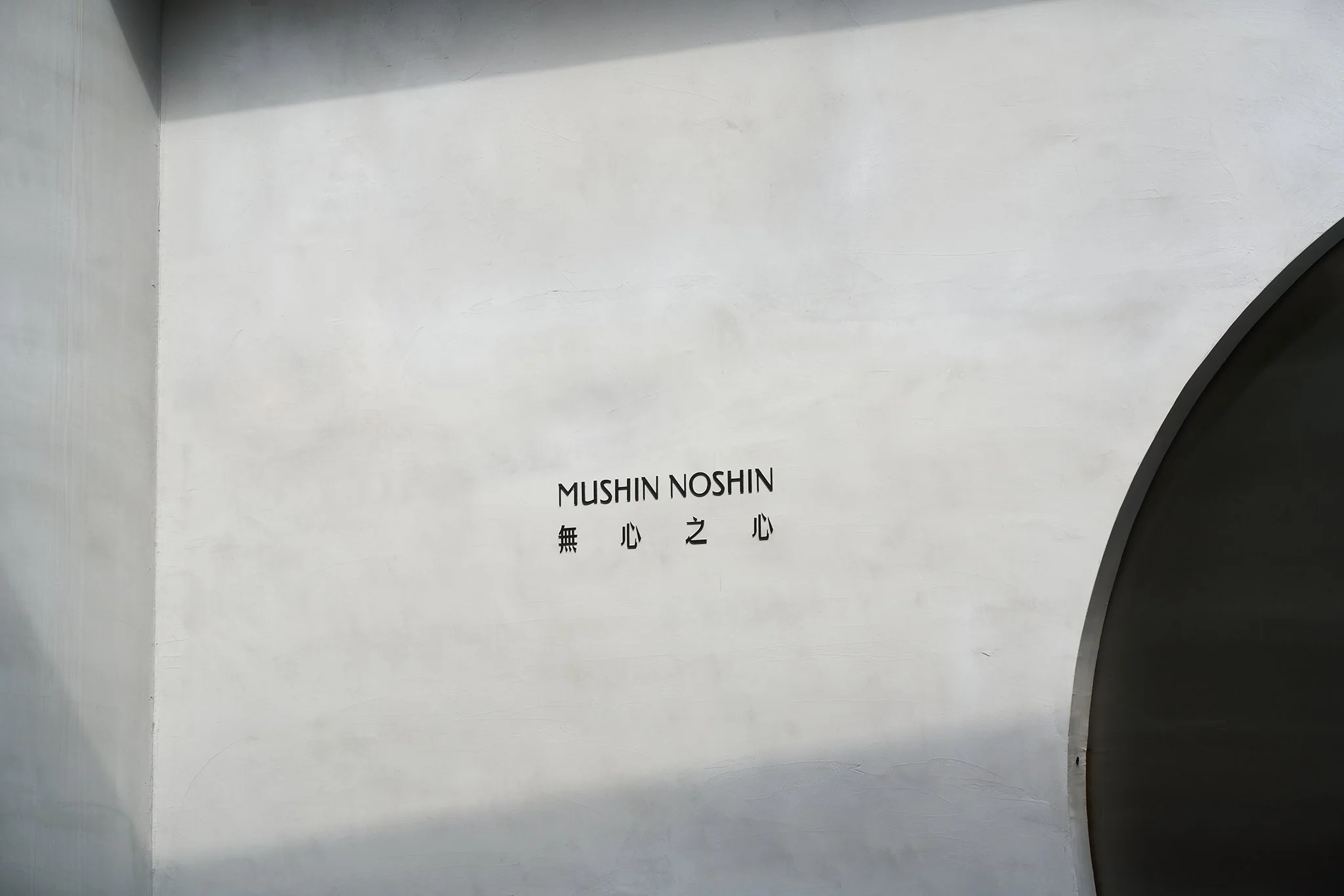 mushin noshin