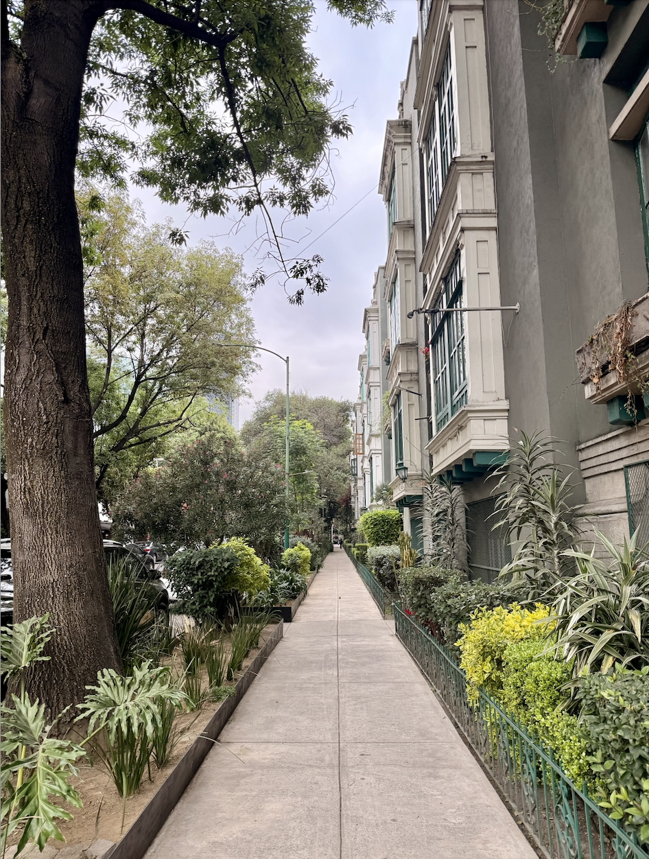 Screenshot 2026-01-23 at 10.35.55 AM.png