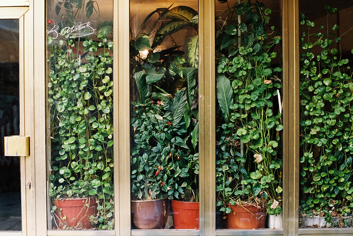 Green window, Istanbul.jpg