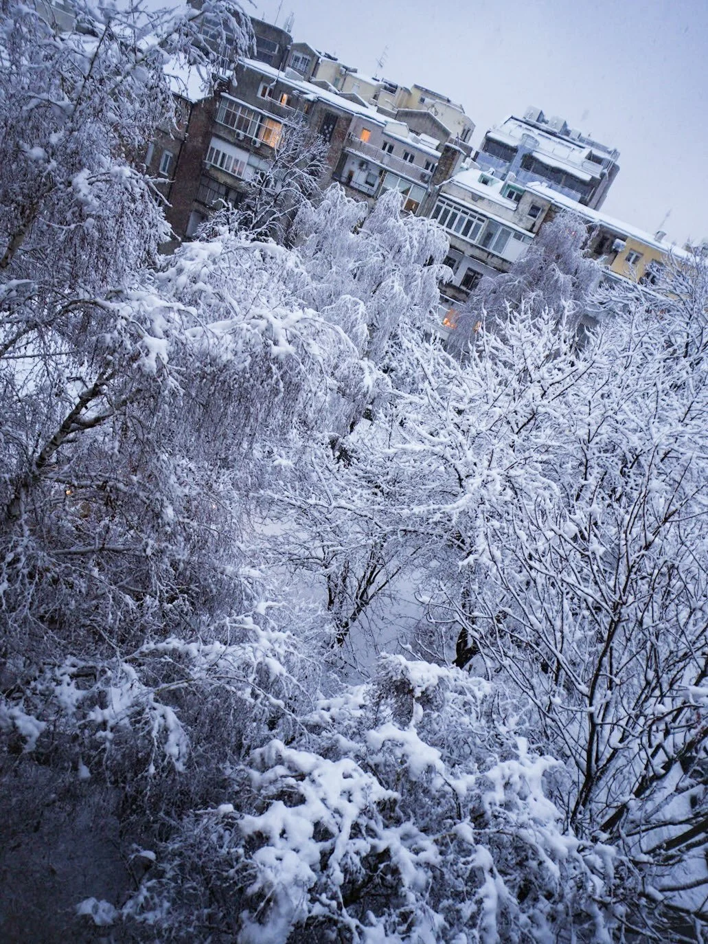 Feels like -7 ❄️