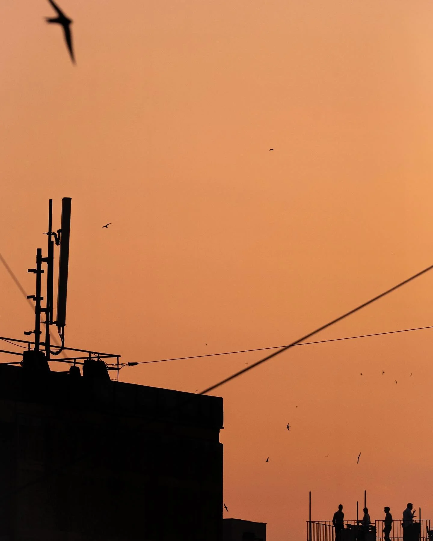 Moved across the world to join the Belgrade bureau for @afpnewsagency - I start next week with the Balkans team! If you have any tips, stories or ever swing by the region give me a shout!