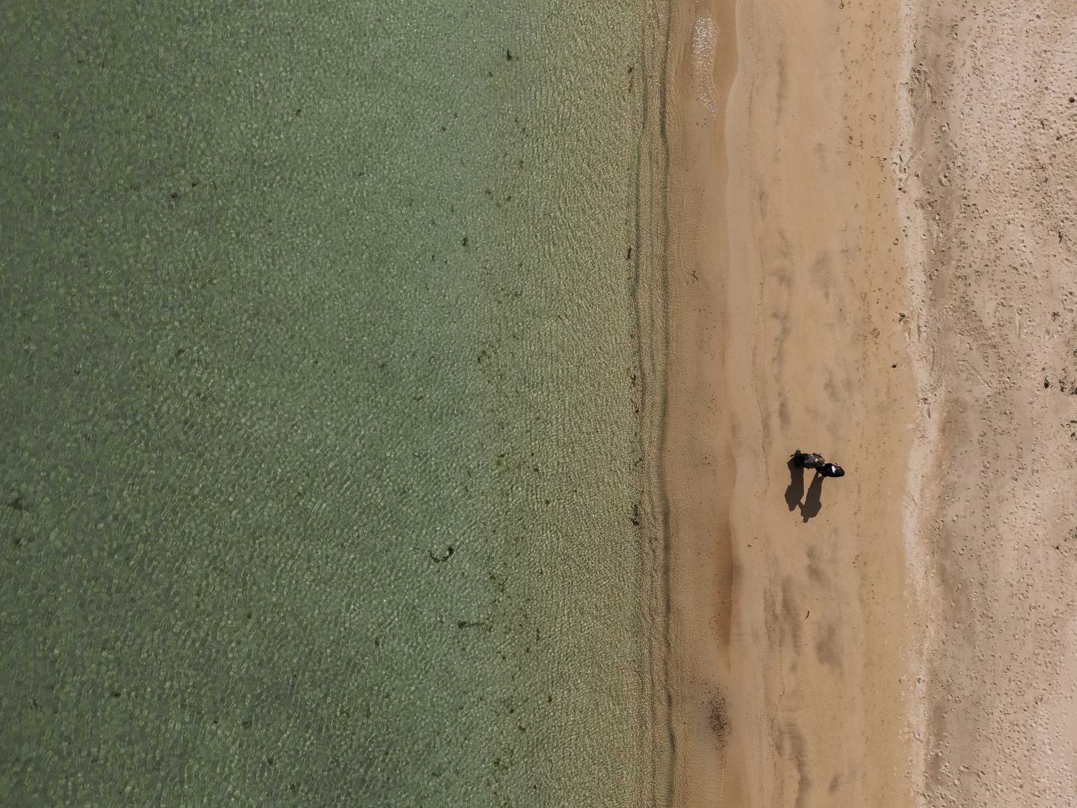 Ted and Tara-033-.jpg