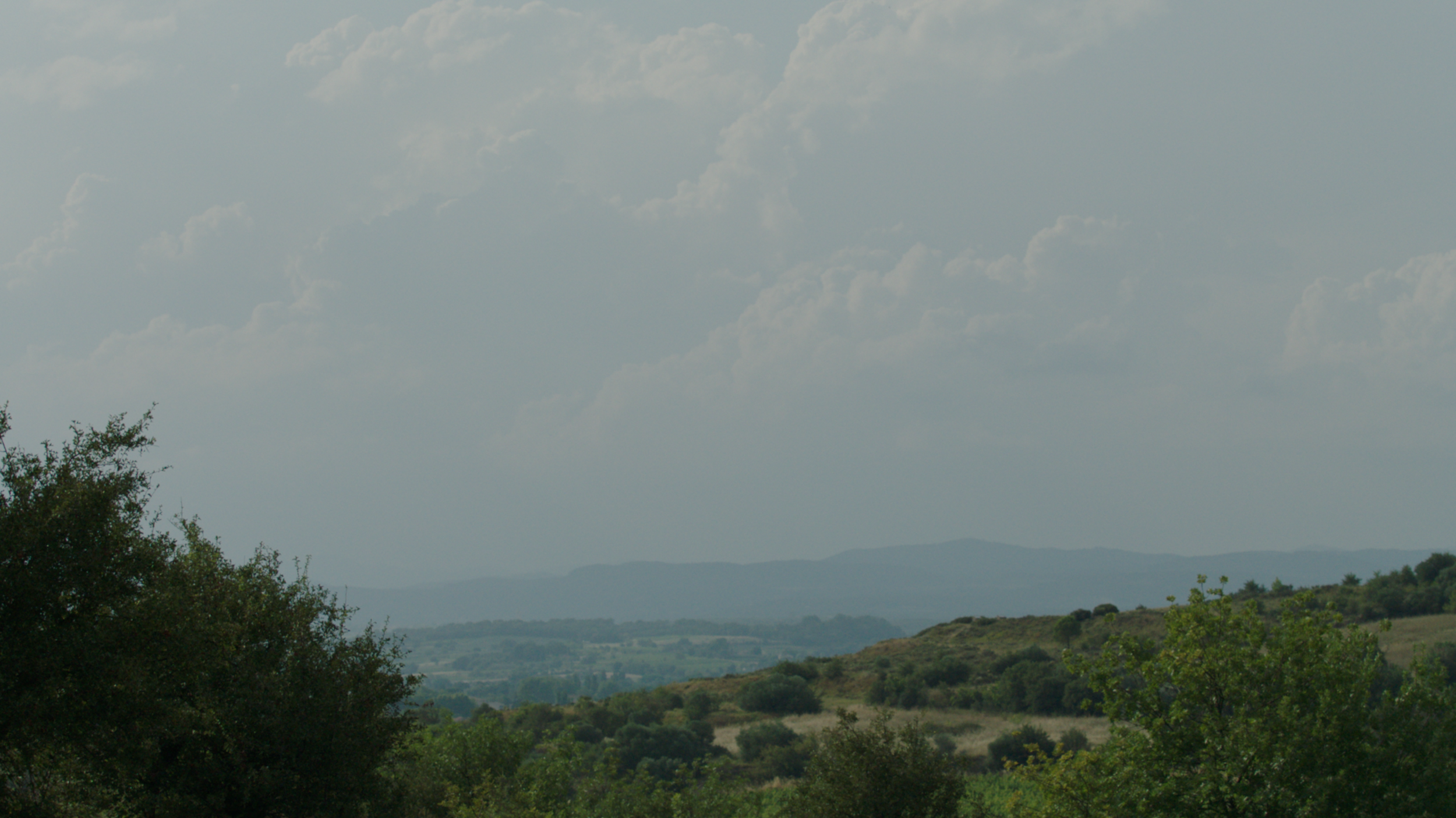 Screenshot 2025-07-21 at 10.47.46.png