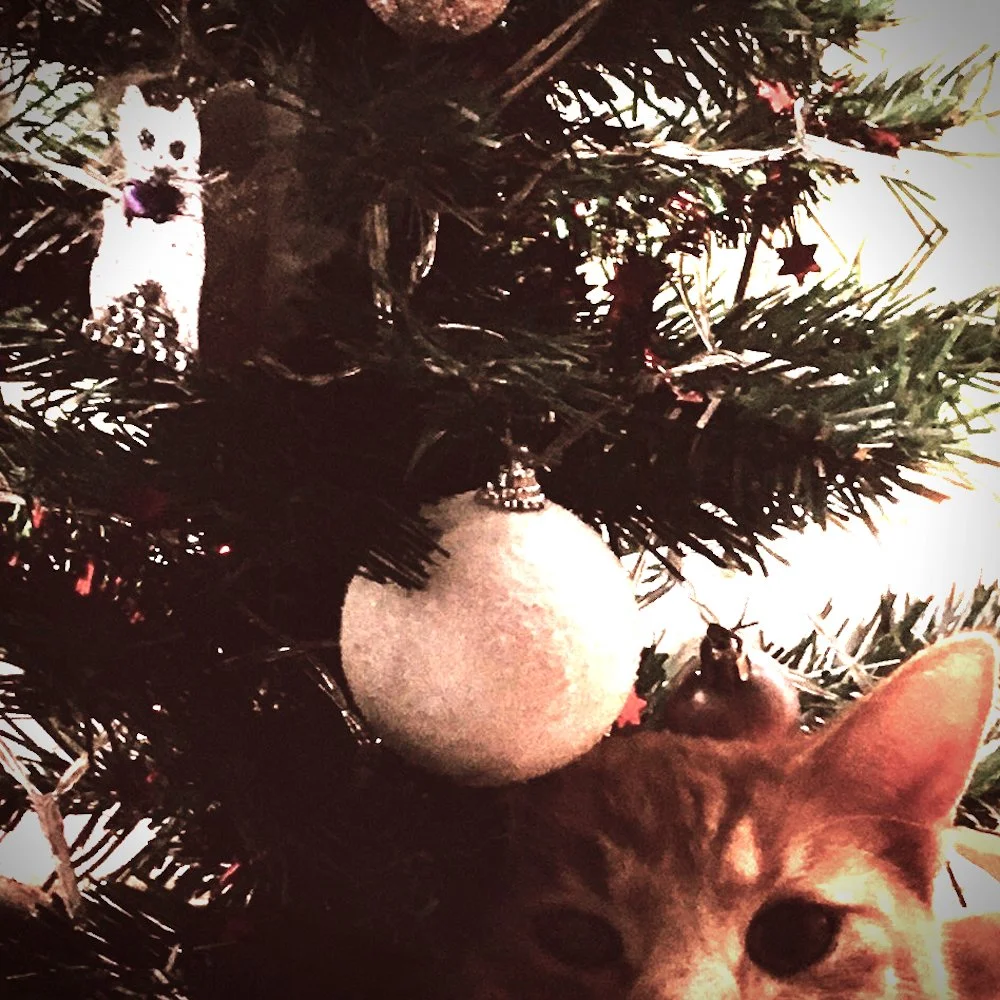 Holiday Cheer