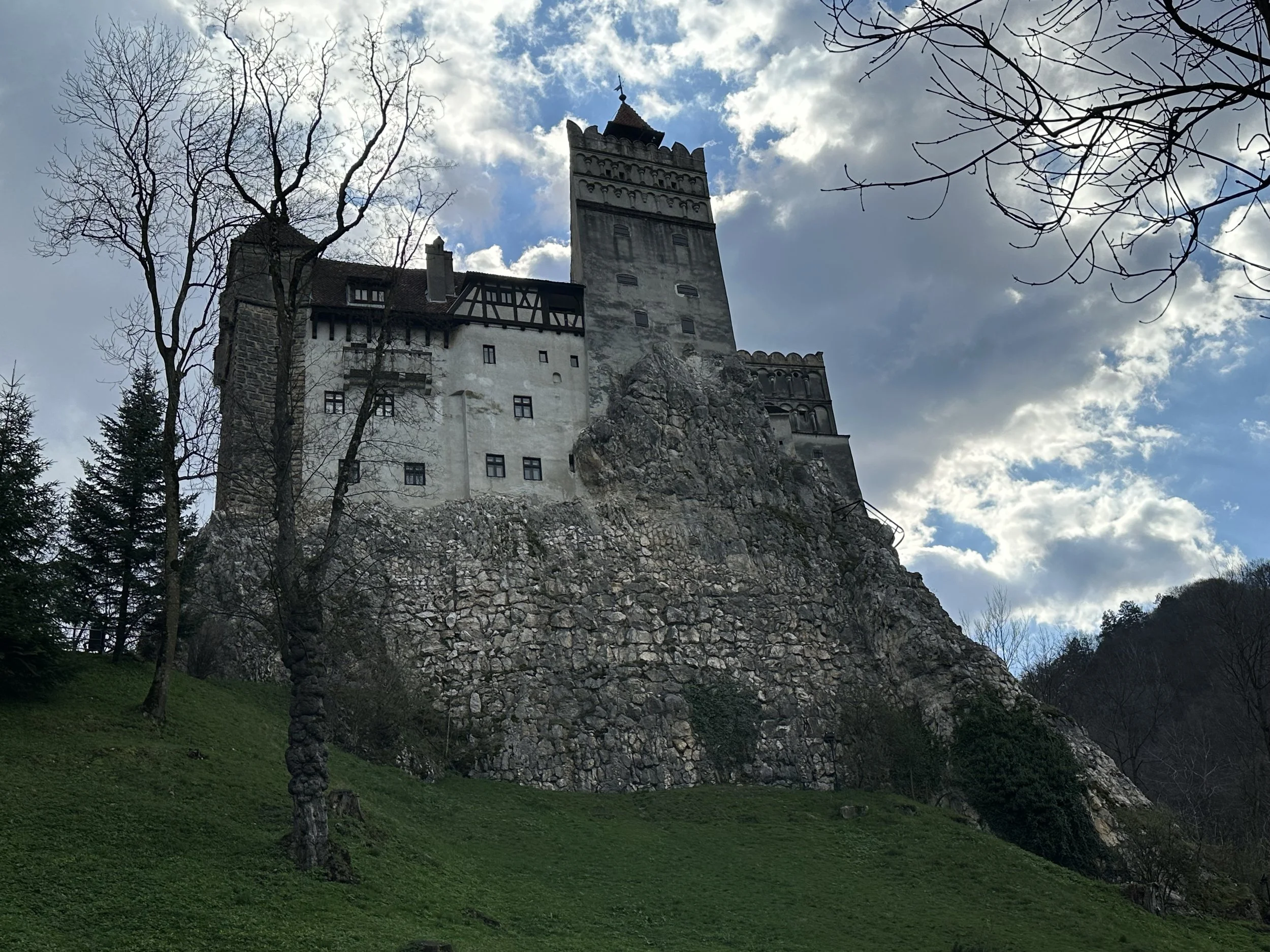 IMG_1712.jpeg