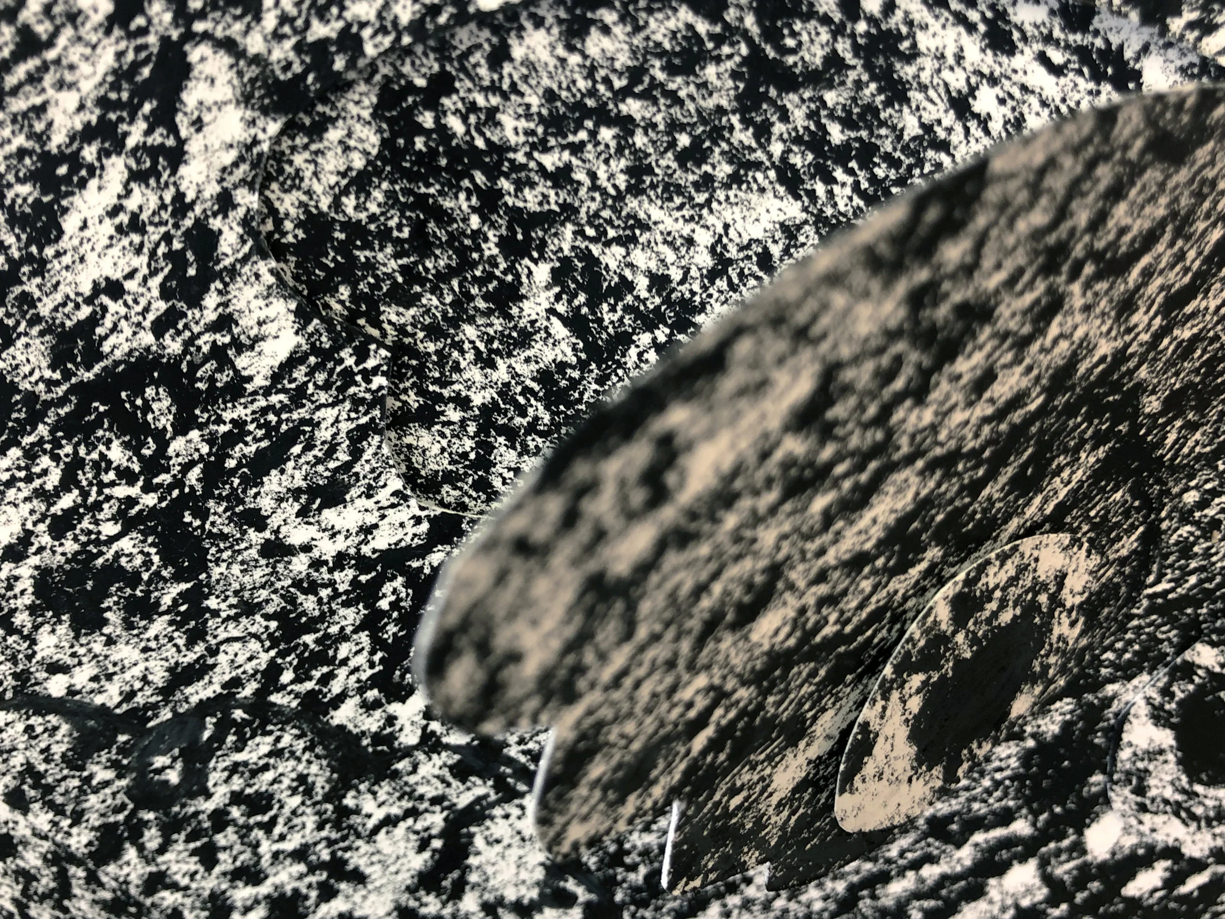 Threshold, curated by Iain Hales