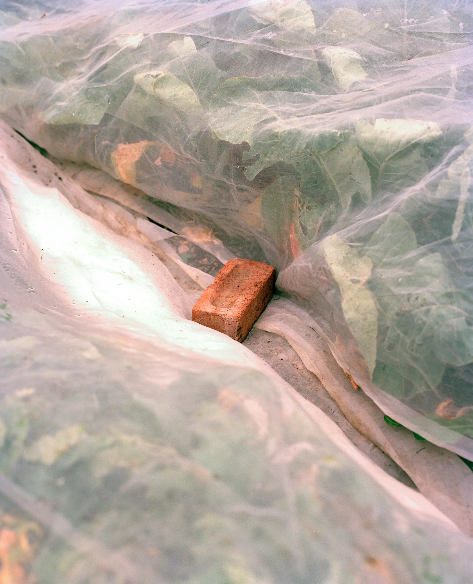 Marco Kessler - Our Nature